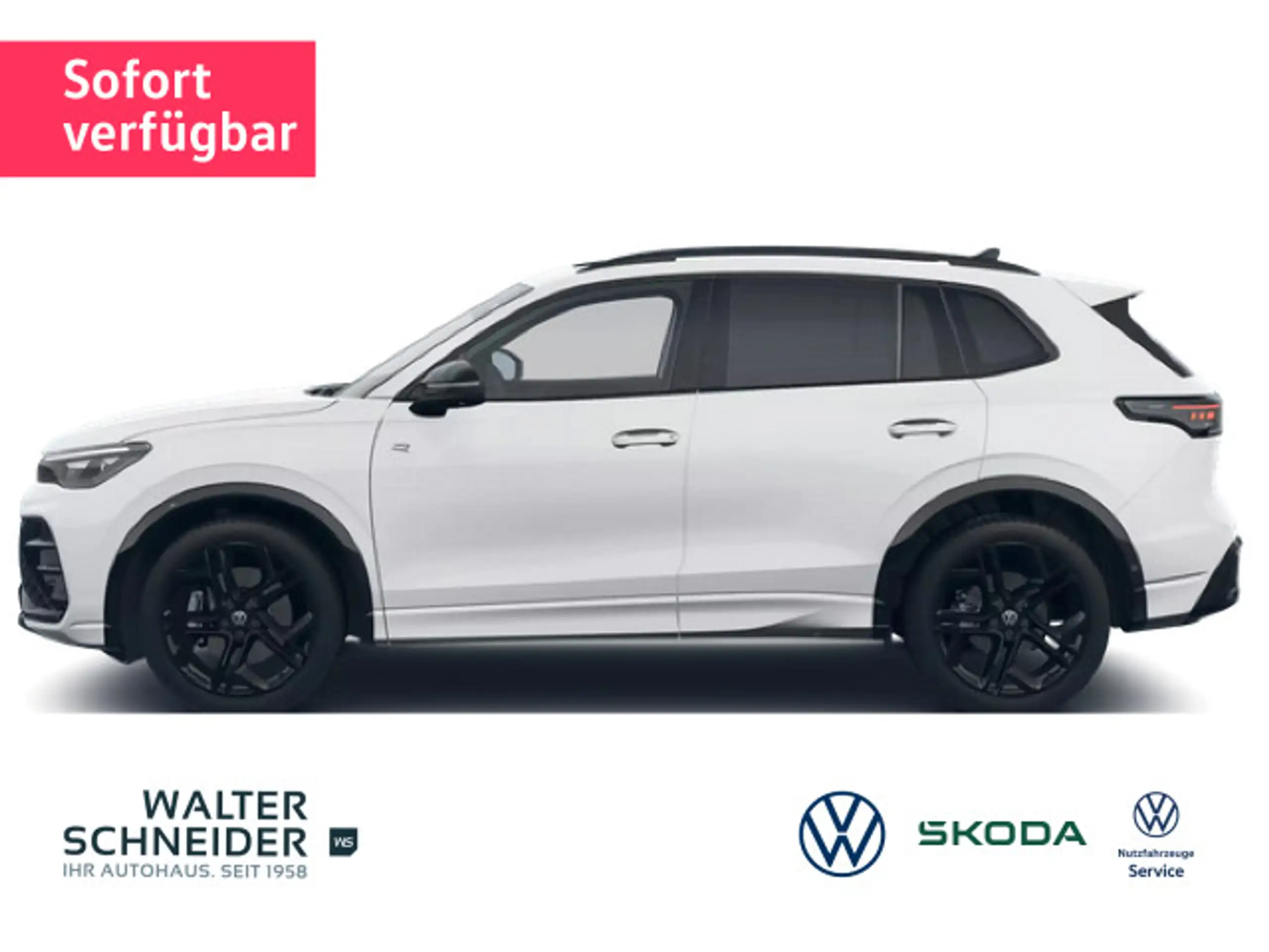 Volkswagen - Tiguan