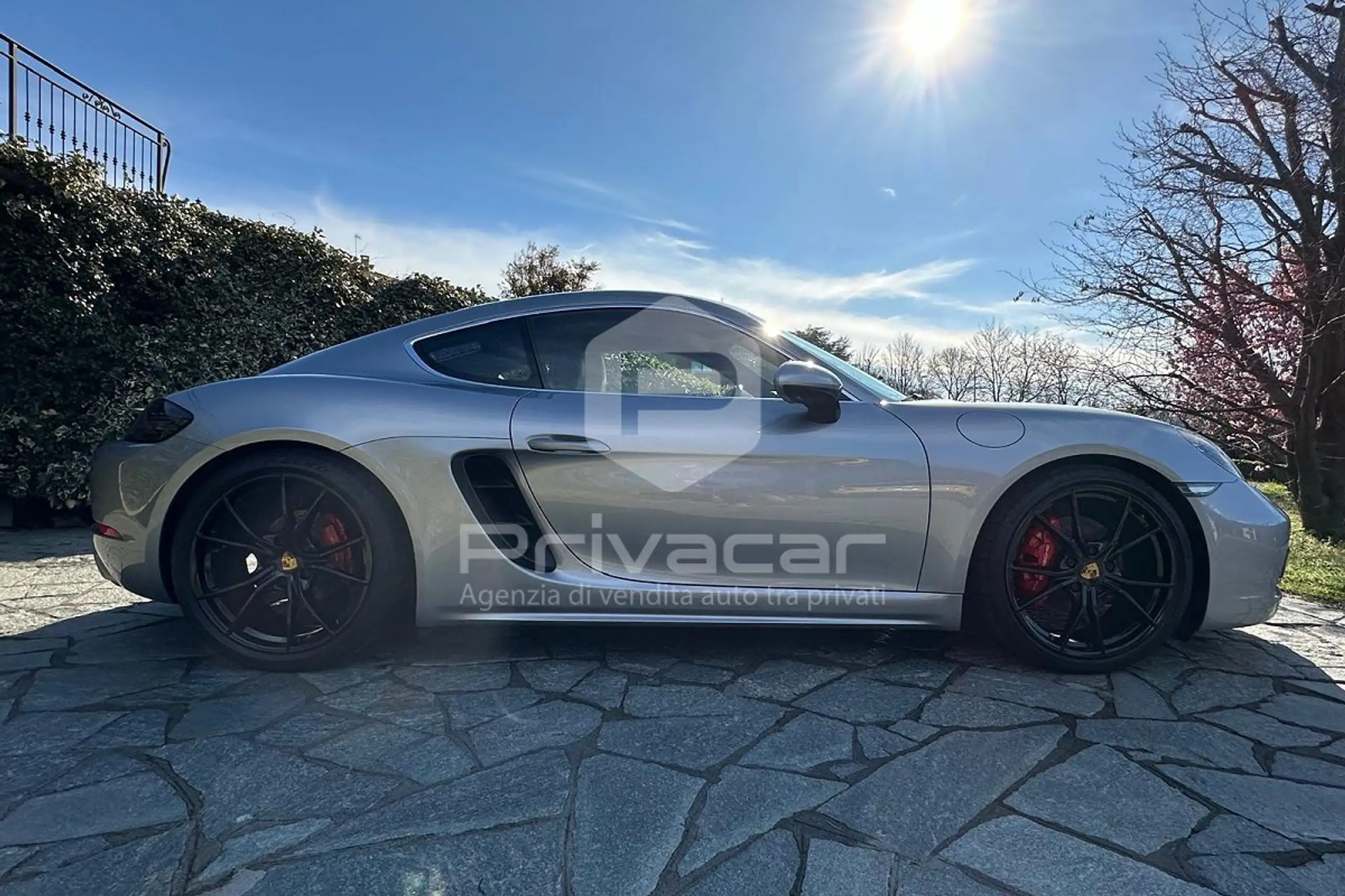 Porsche - Cayman