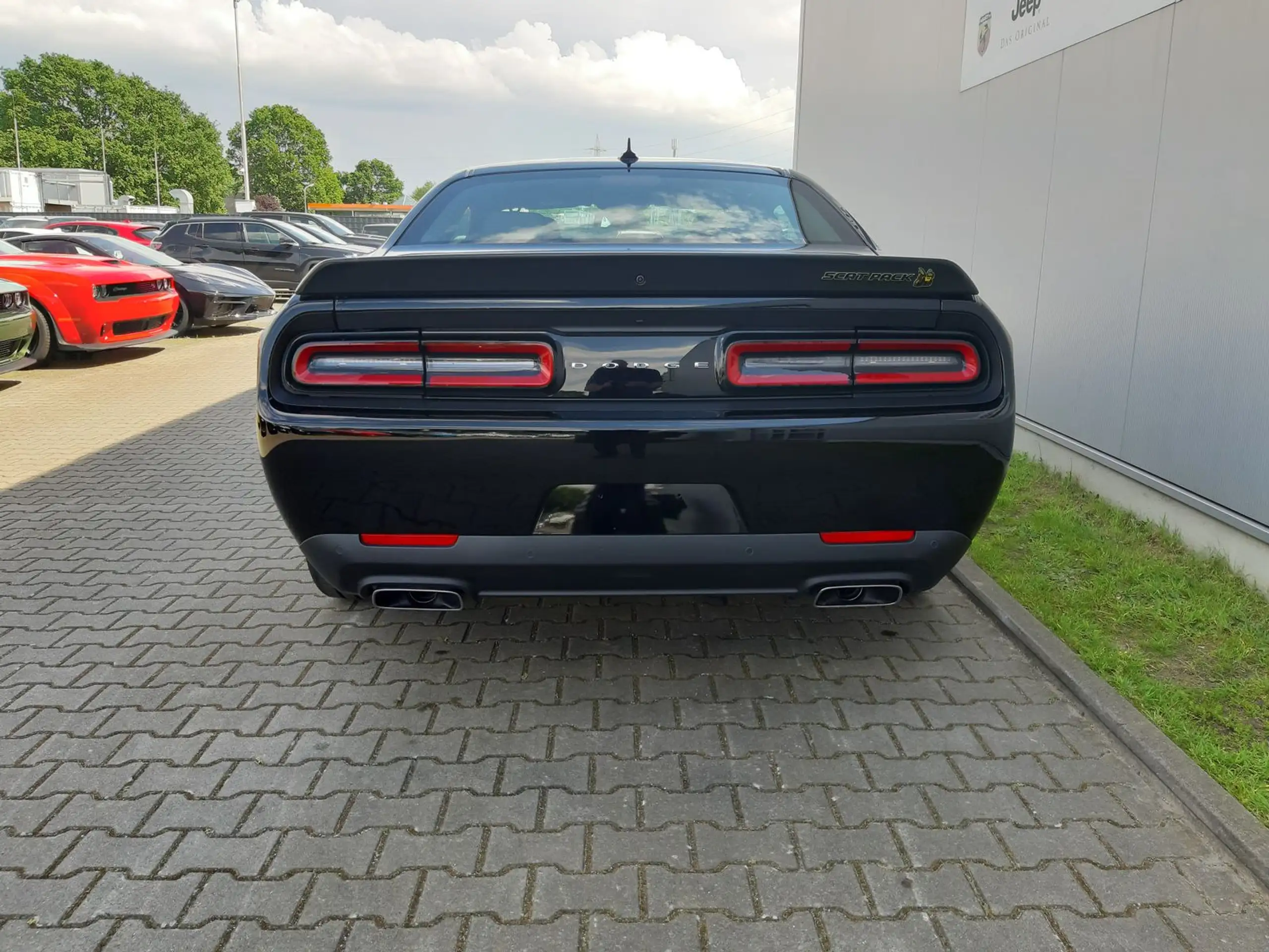 Dodge - Challenger