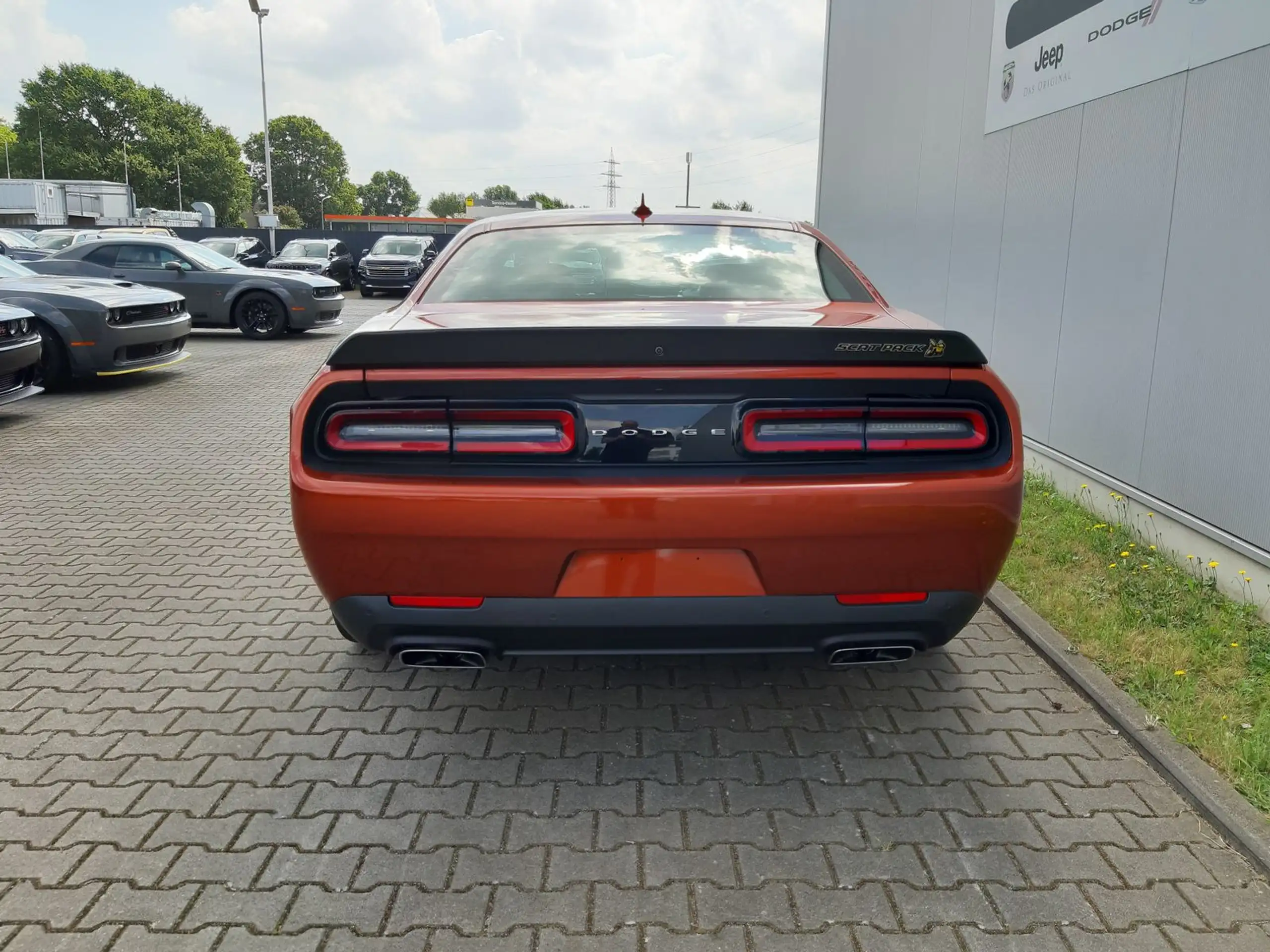 Dodge - Challenger