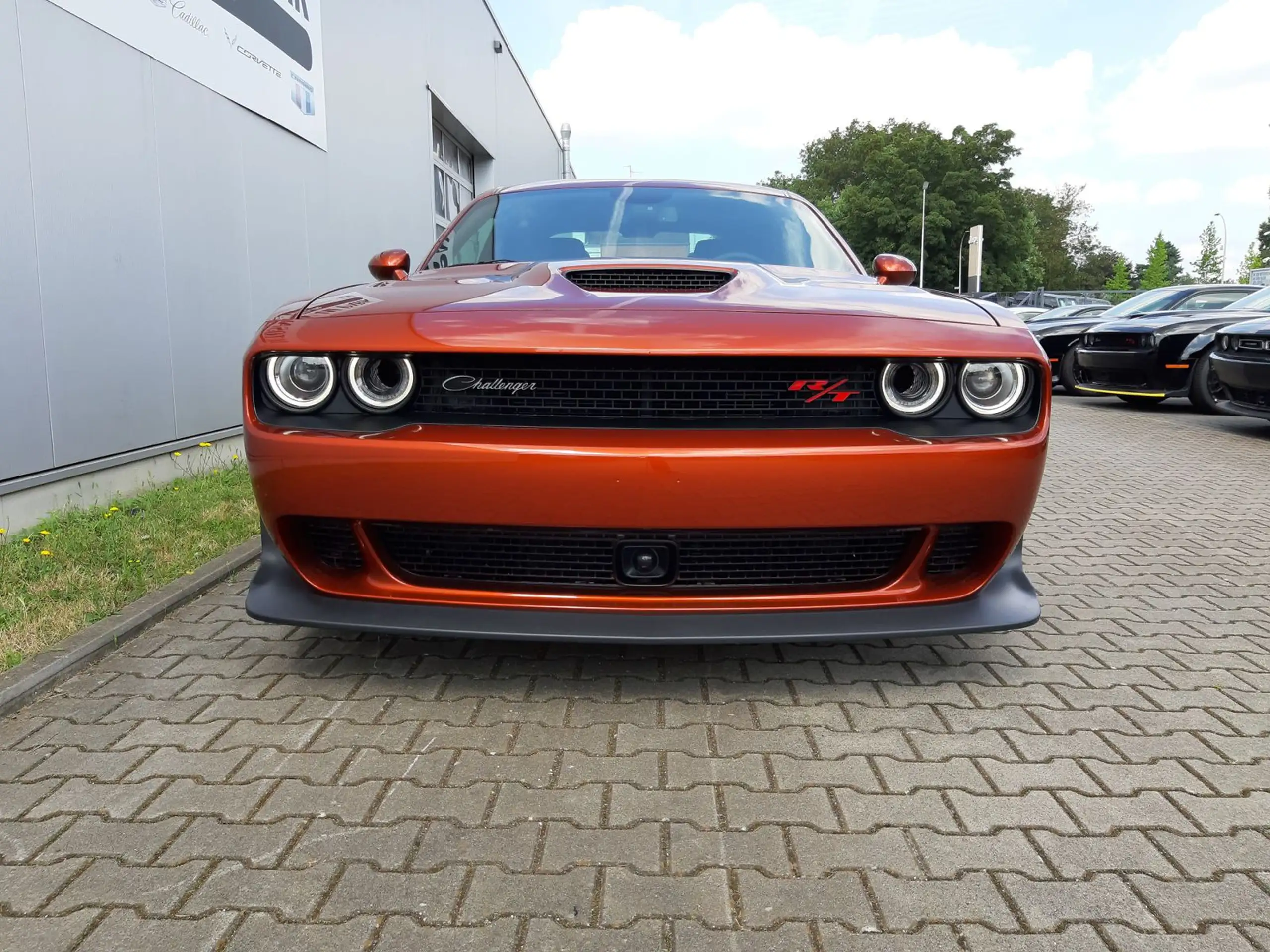 Dodge - Challenger