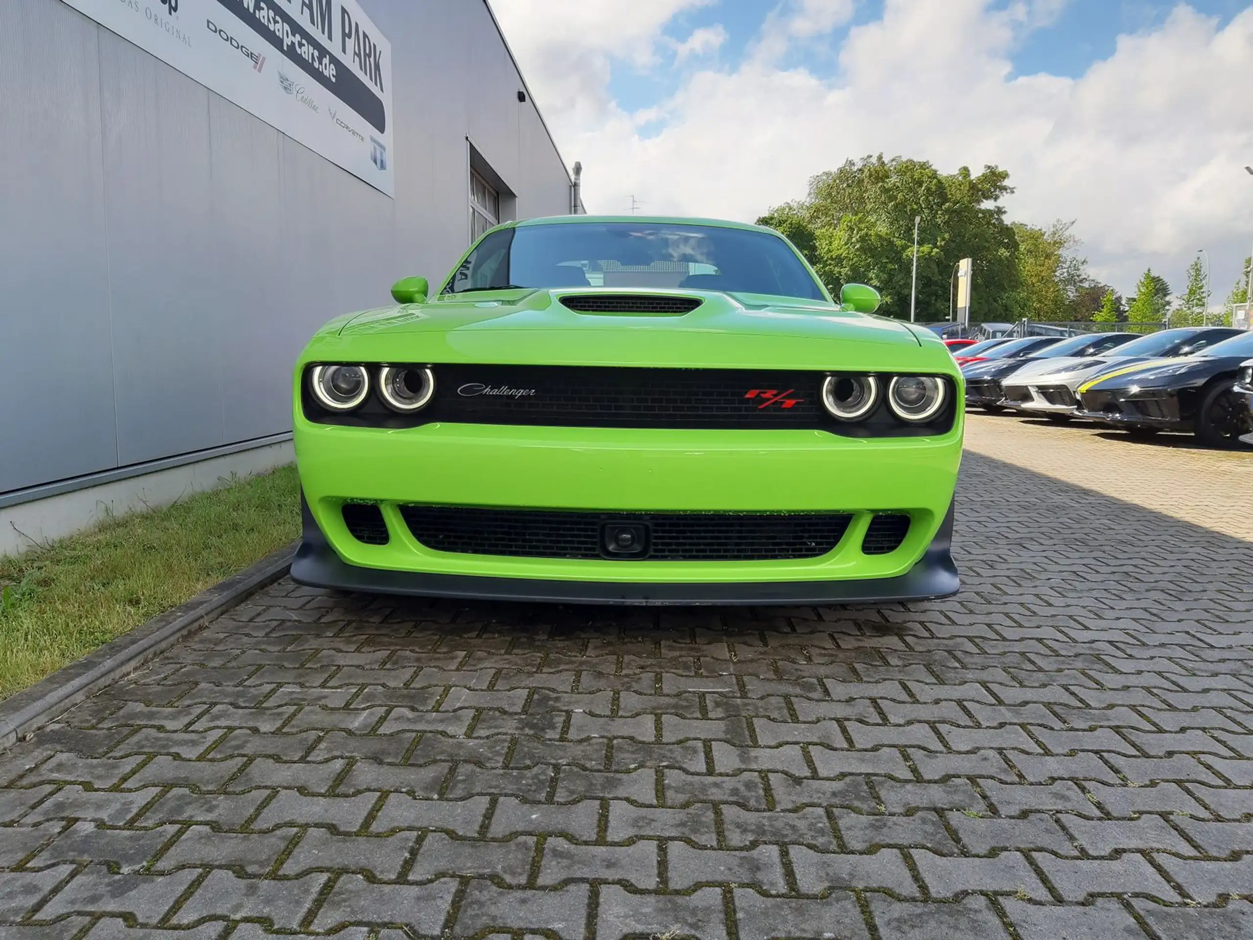 Dodge - Challenger