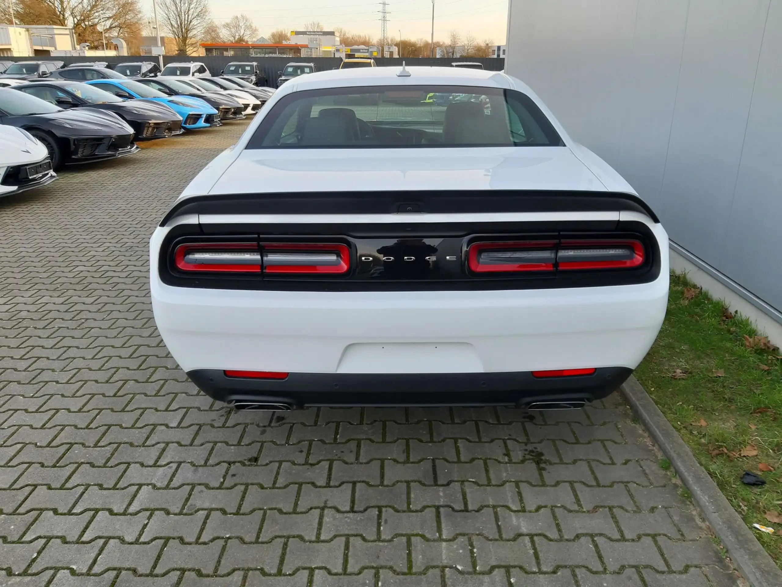 Dodge - Challenger