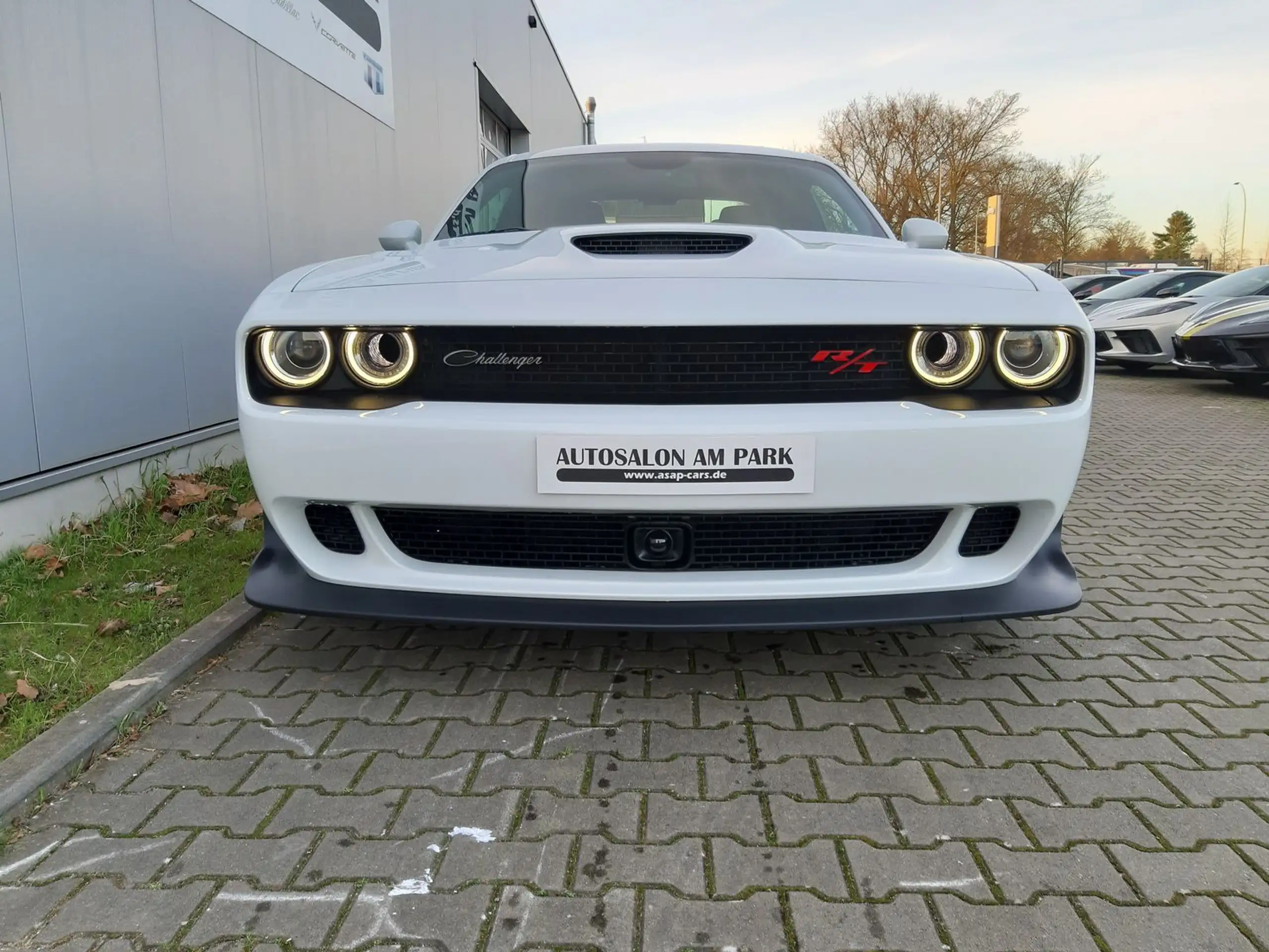 Dodge - Challenger