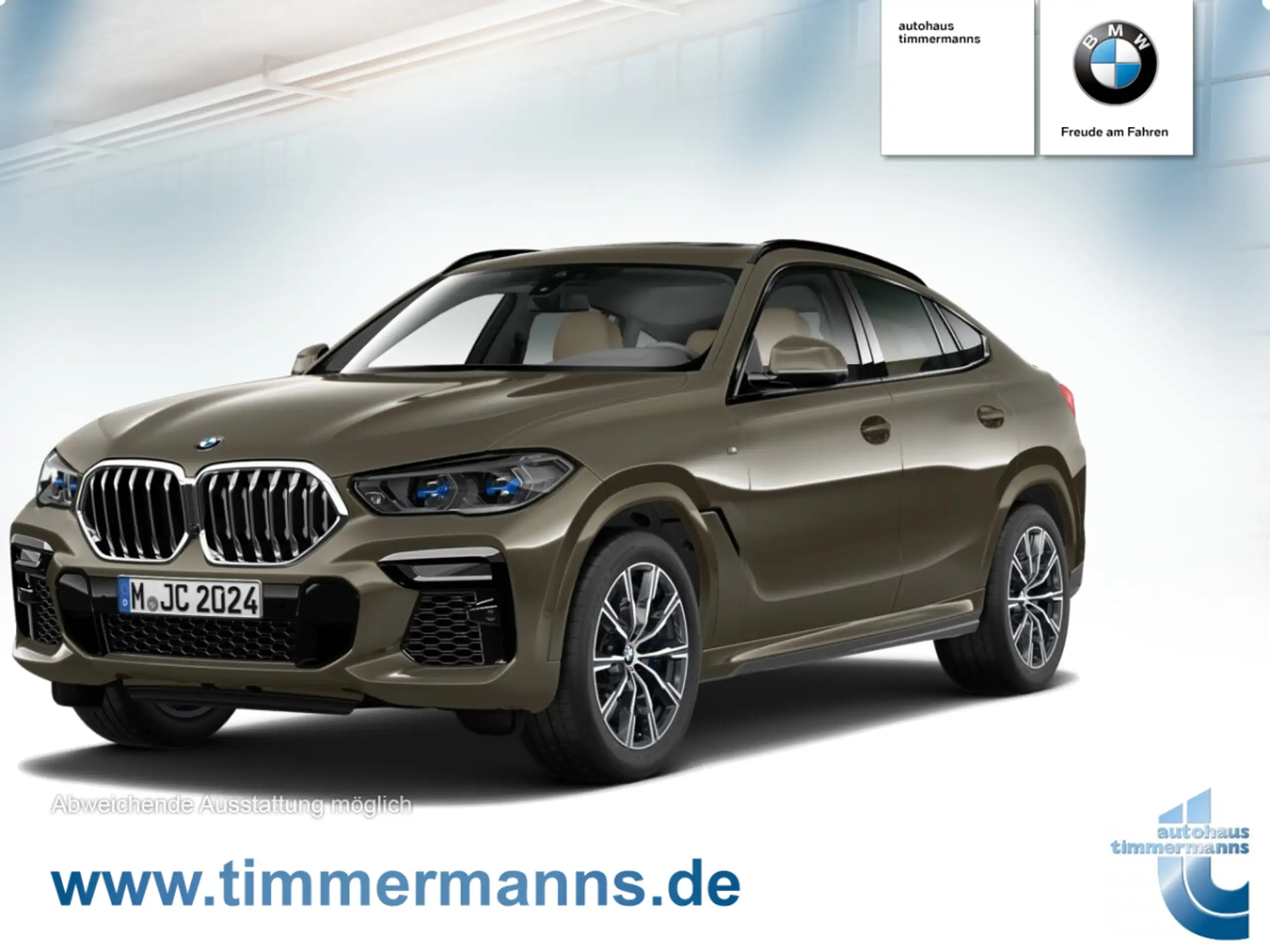 BMW - X6