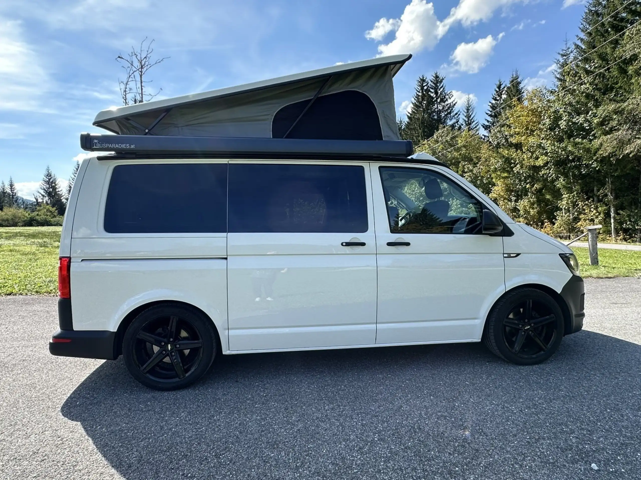 Volkswagen - T6 Transporter