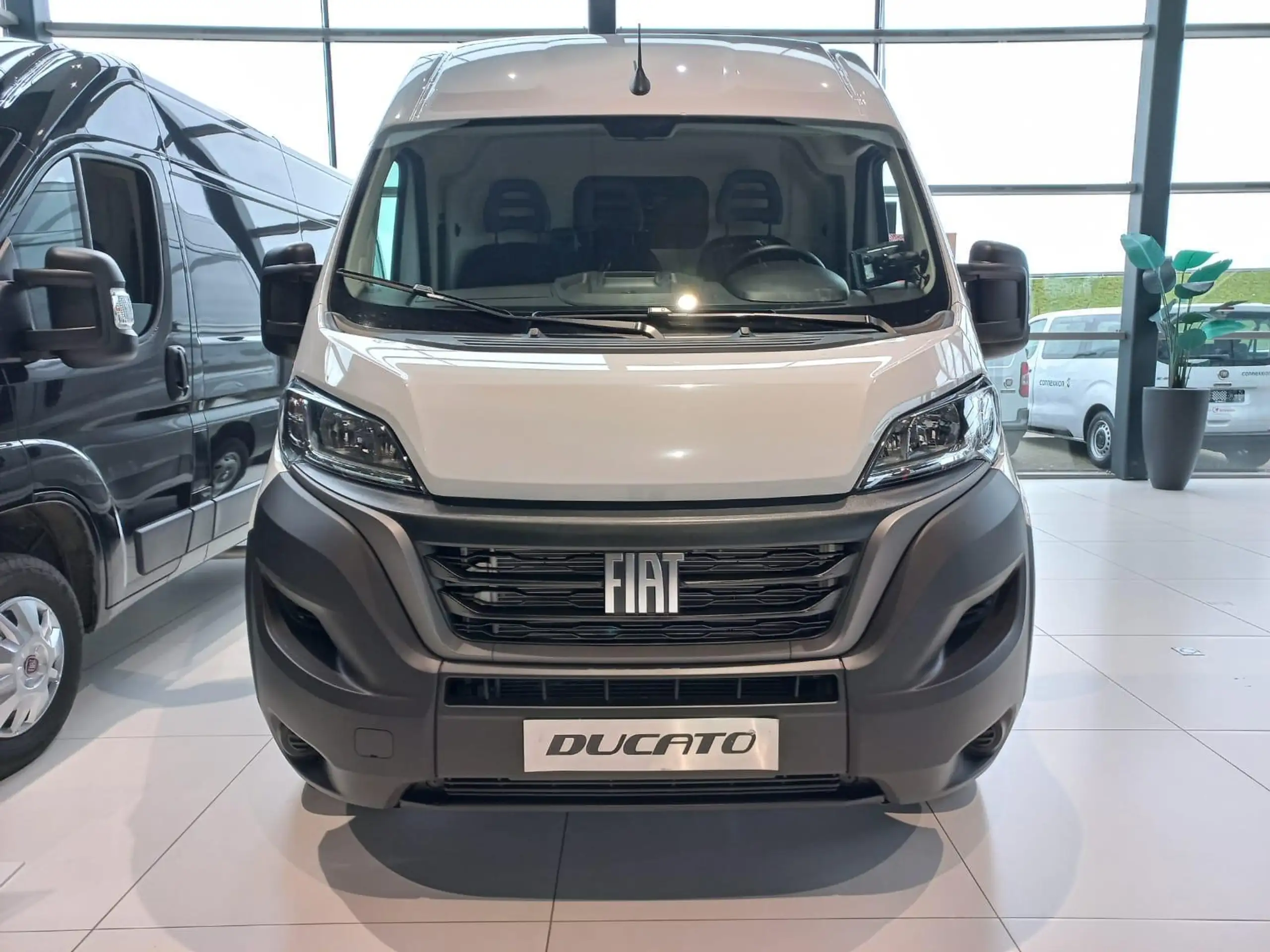 Fiat - Ducato