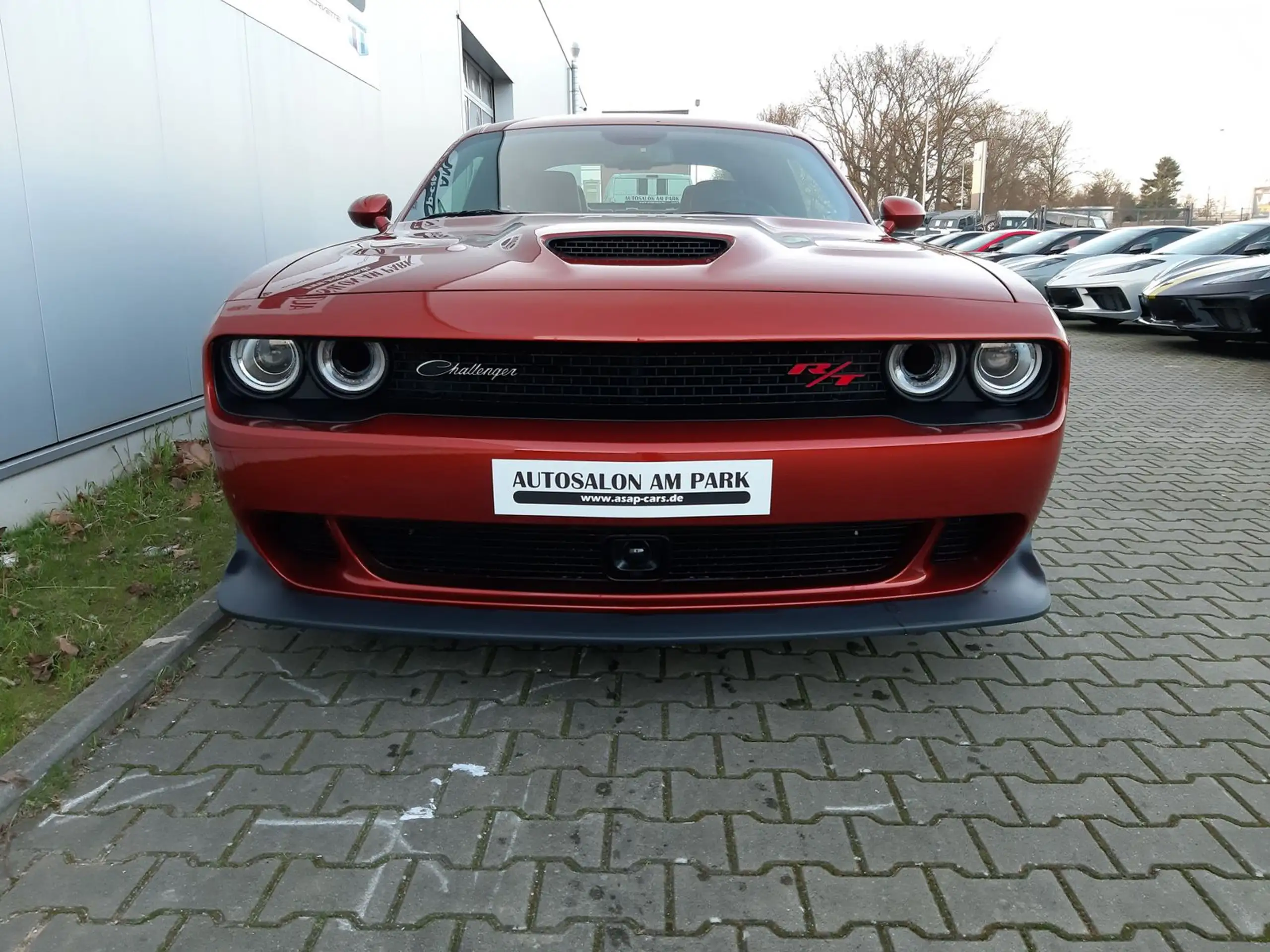 Dodge - Challenger