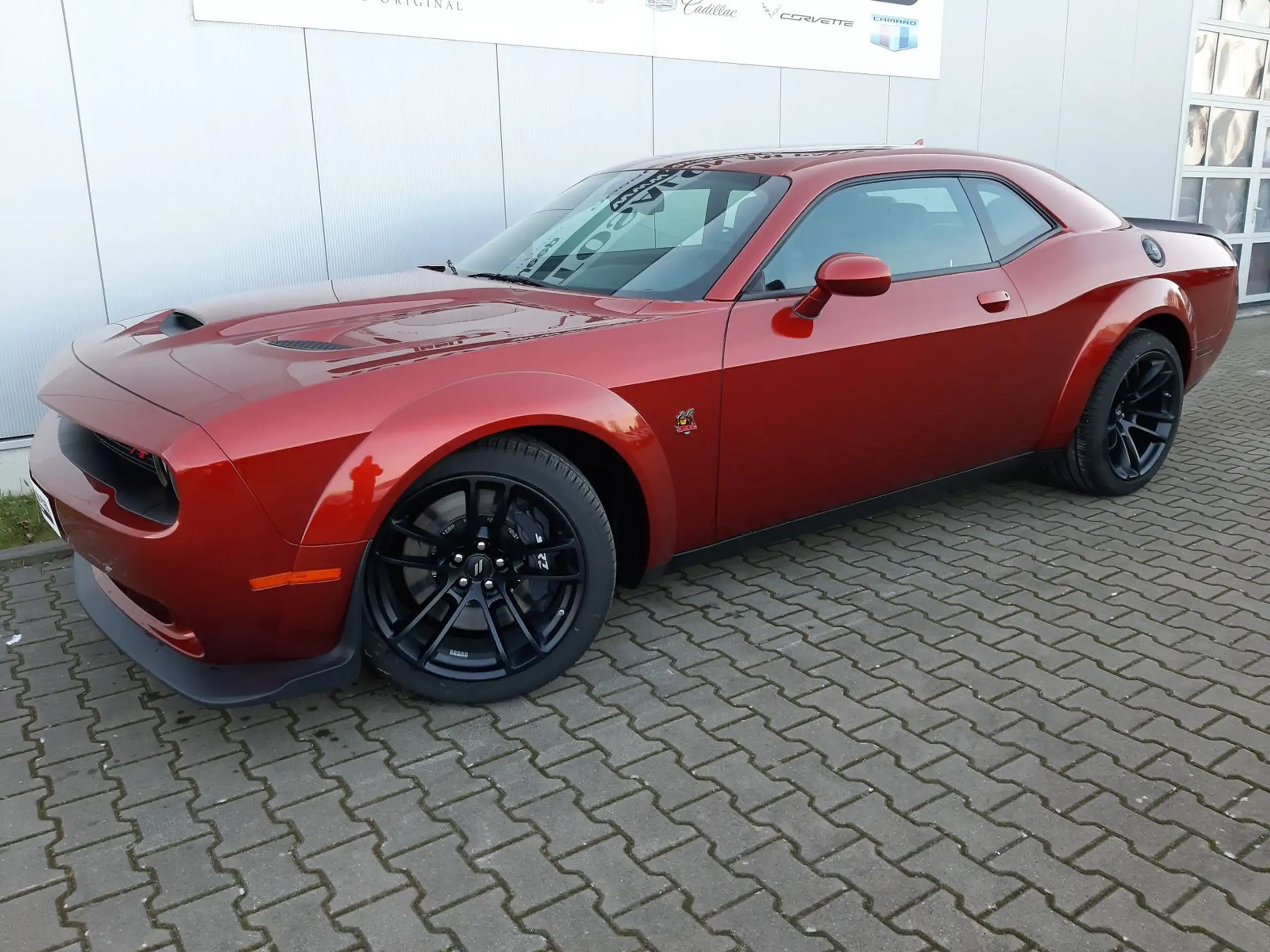 Dodge - Challenger