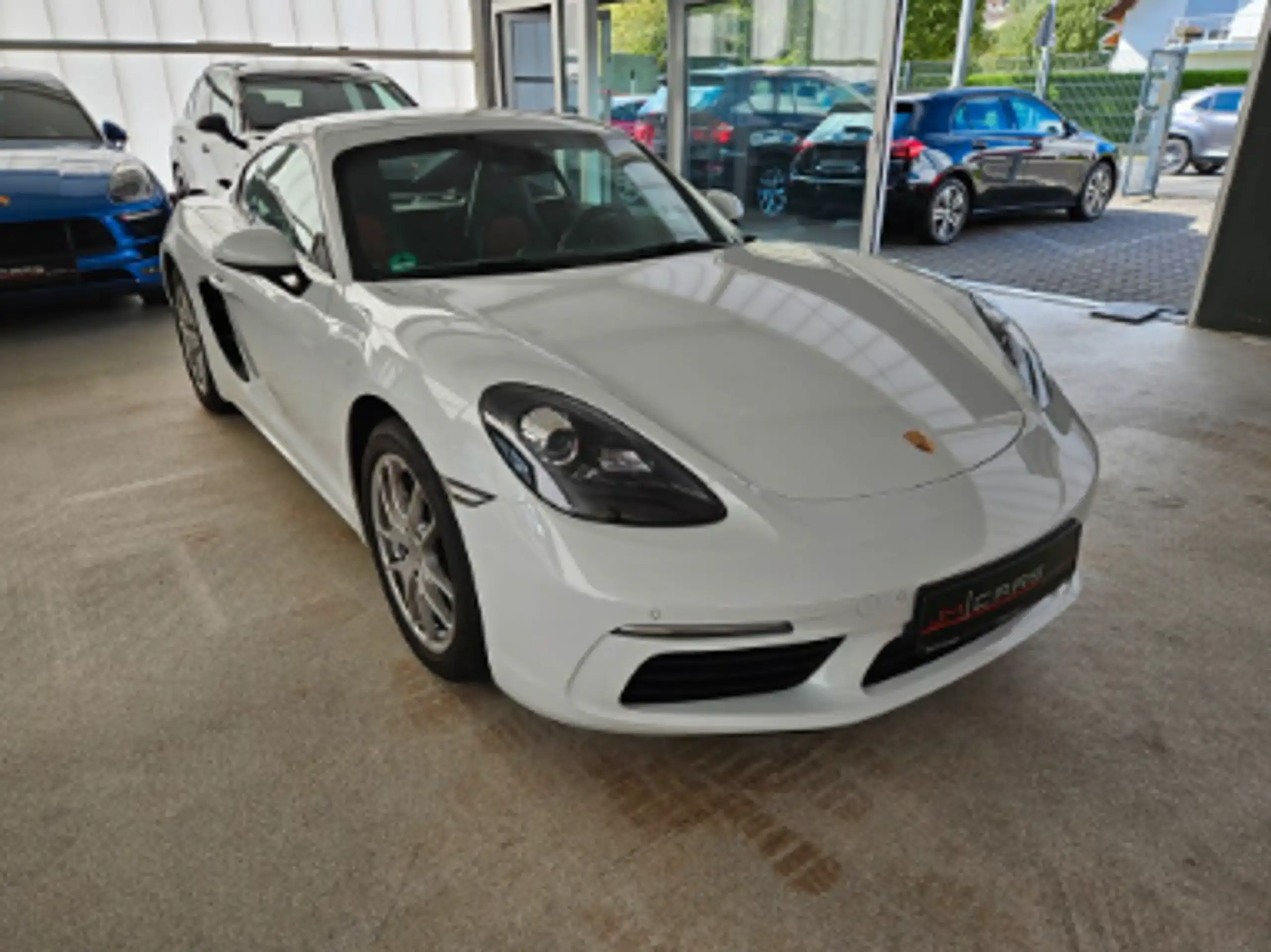 Porsche - Cayman