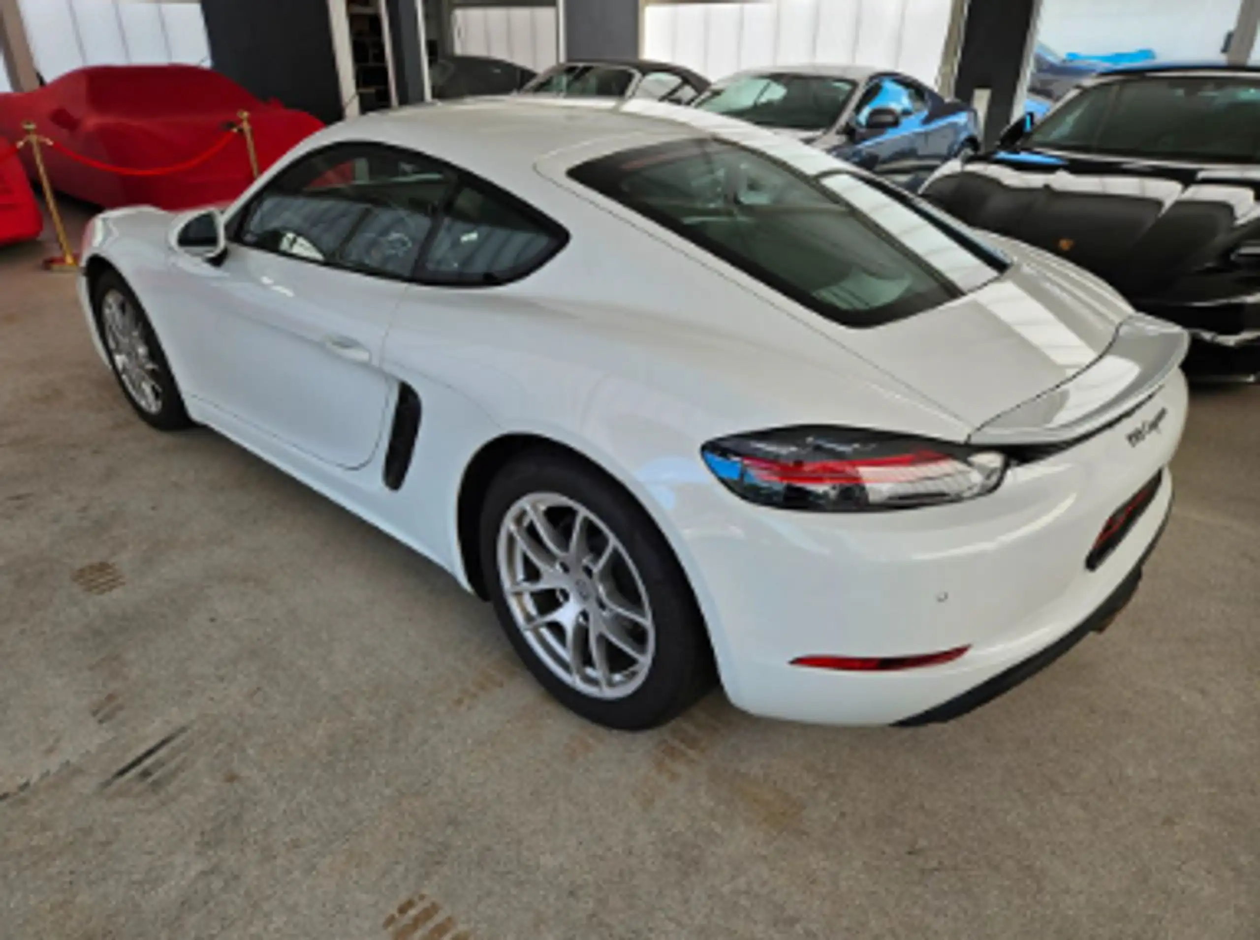 Porsche - Cayman