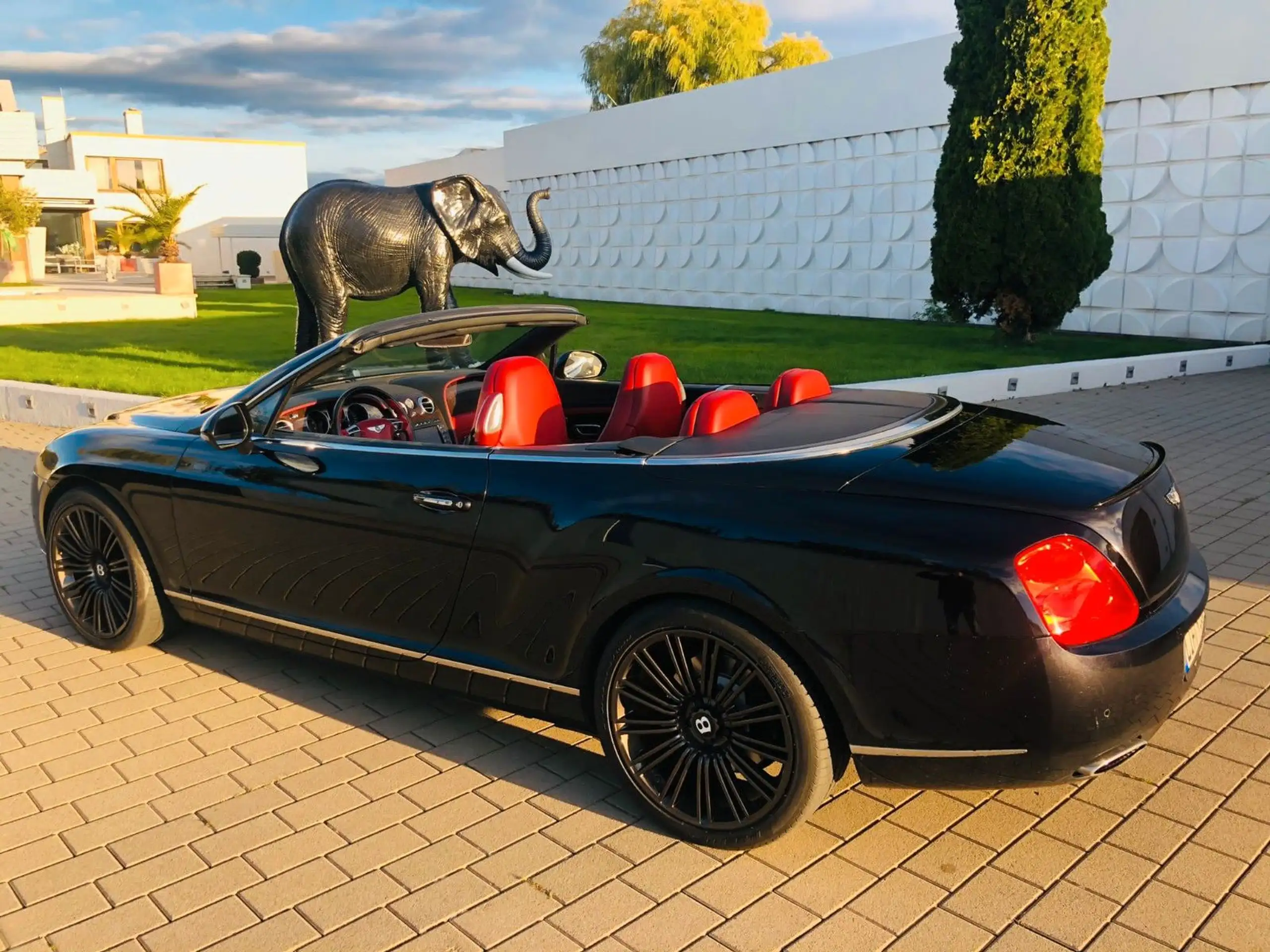 Bentley - Continental GTC