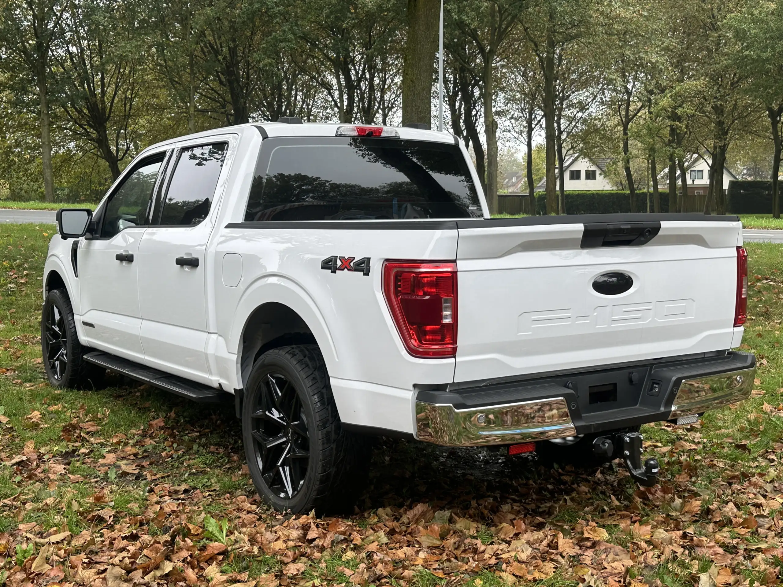 Ford - F 150