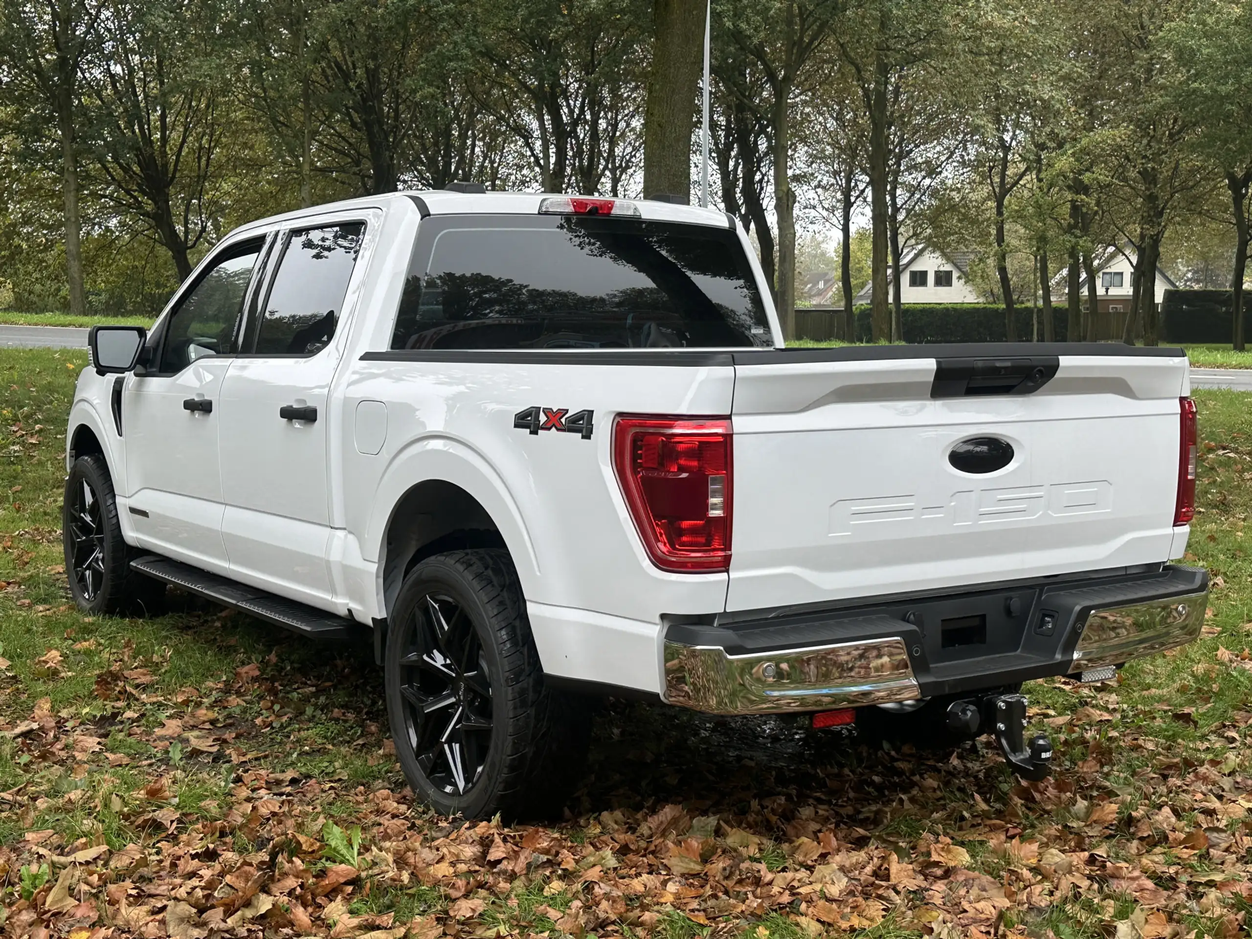 Ford - F 150