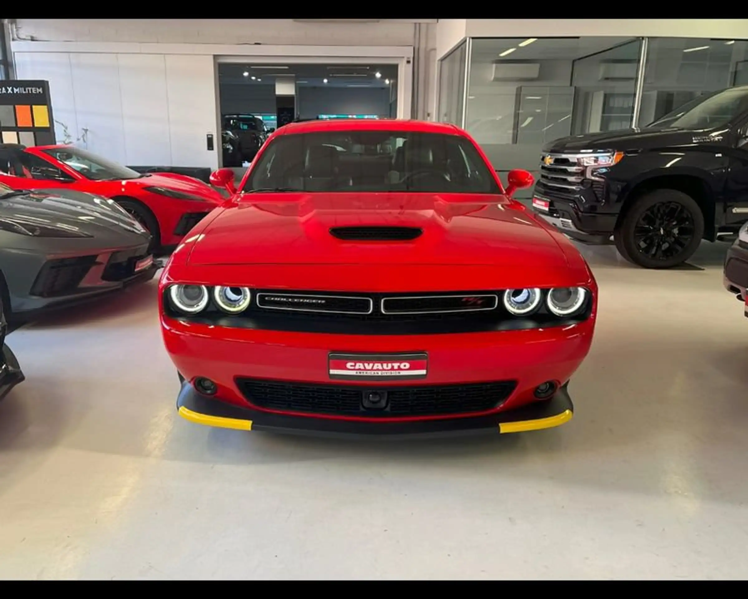 Dodge - Challenger