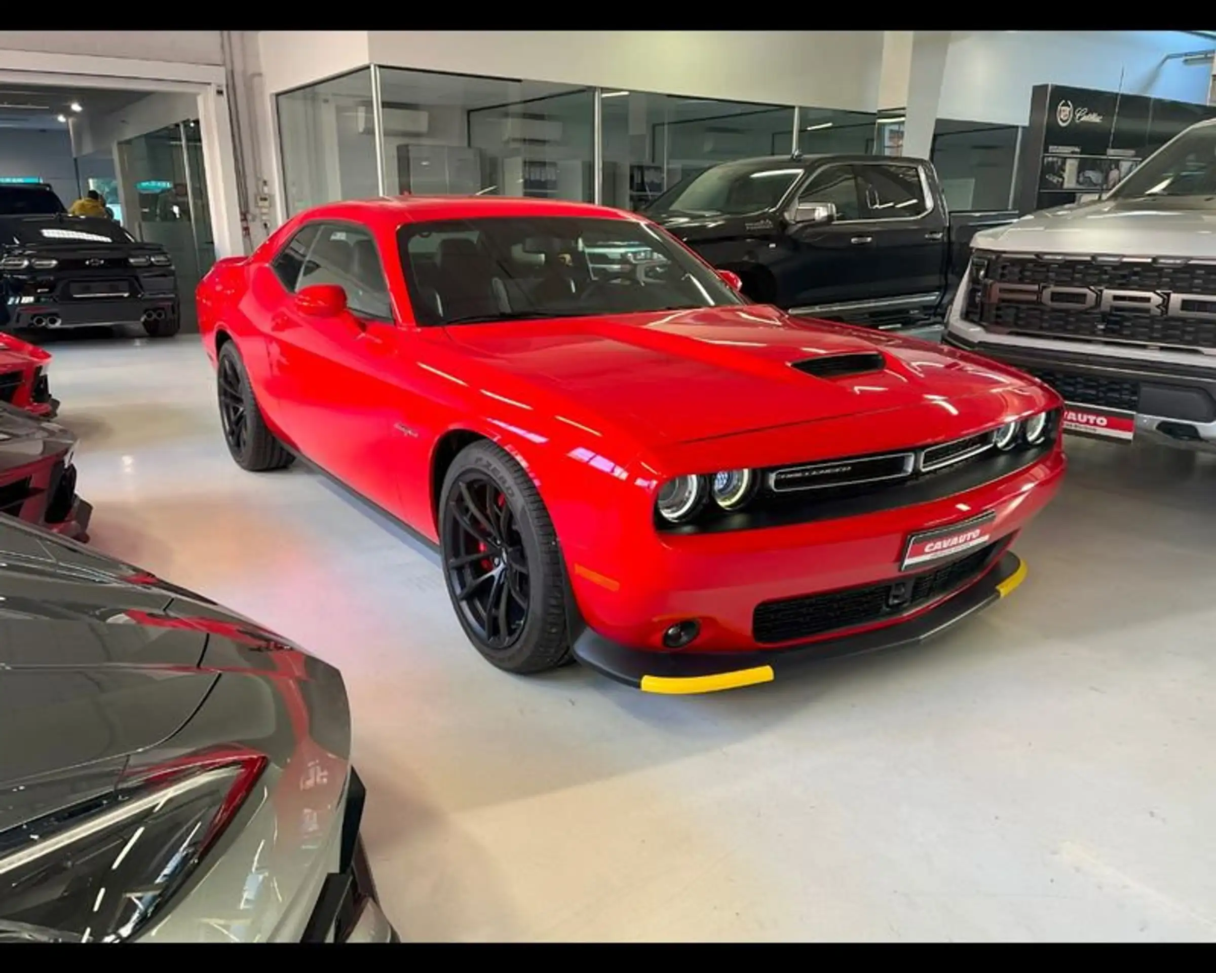 Dodge - Challenger