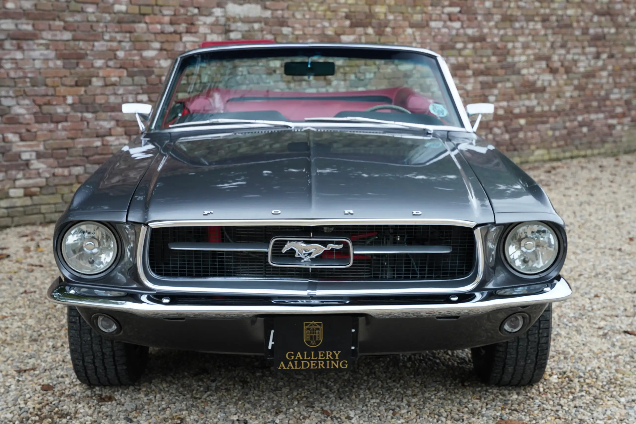 Ford - Mustang