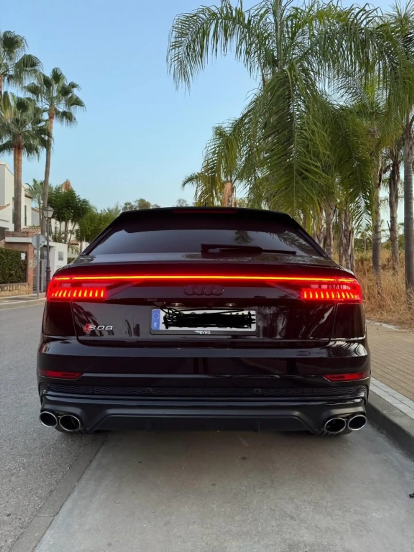 Audi SQ8 2019