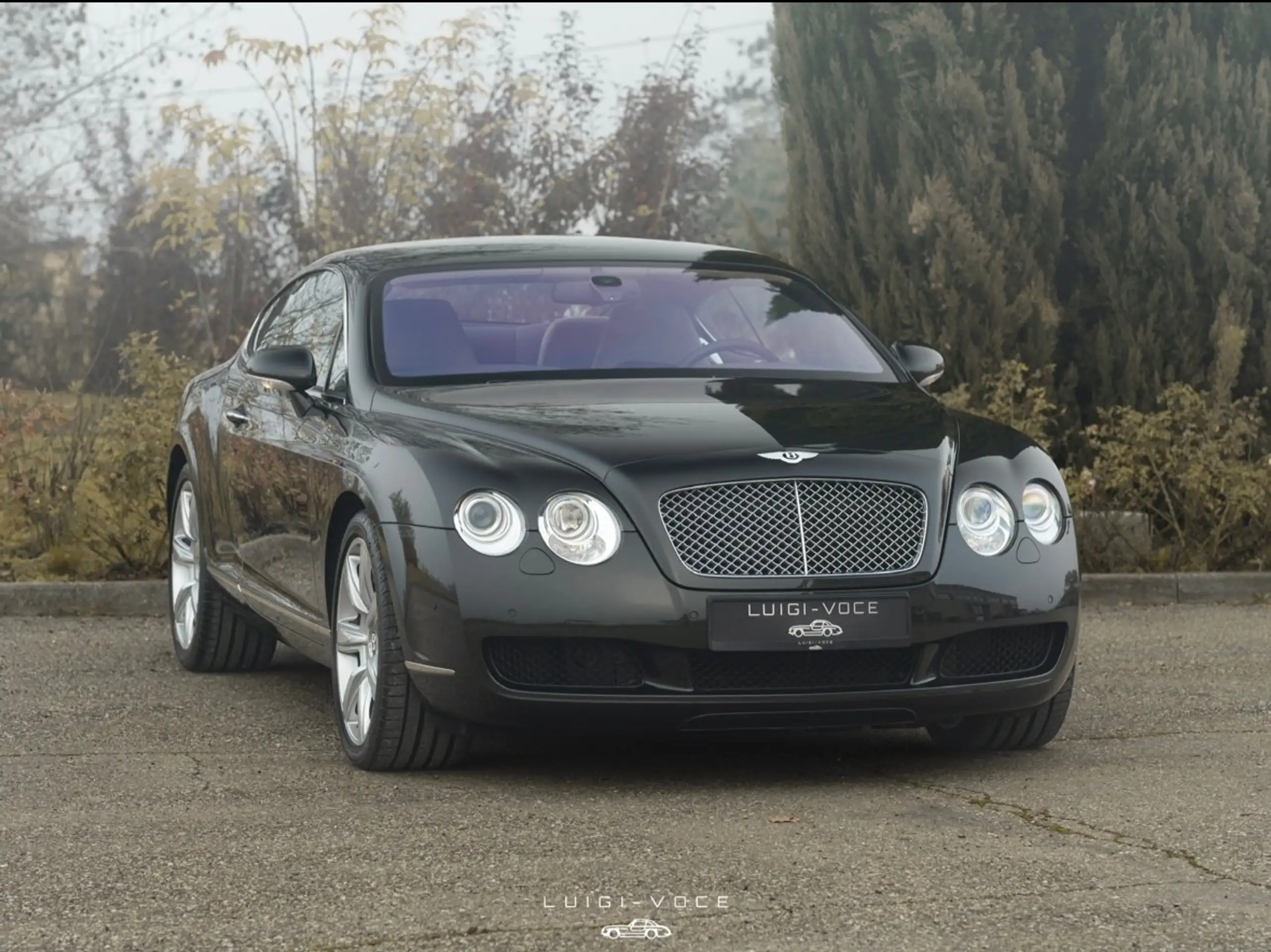 Bentley - Continental