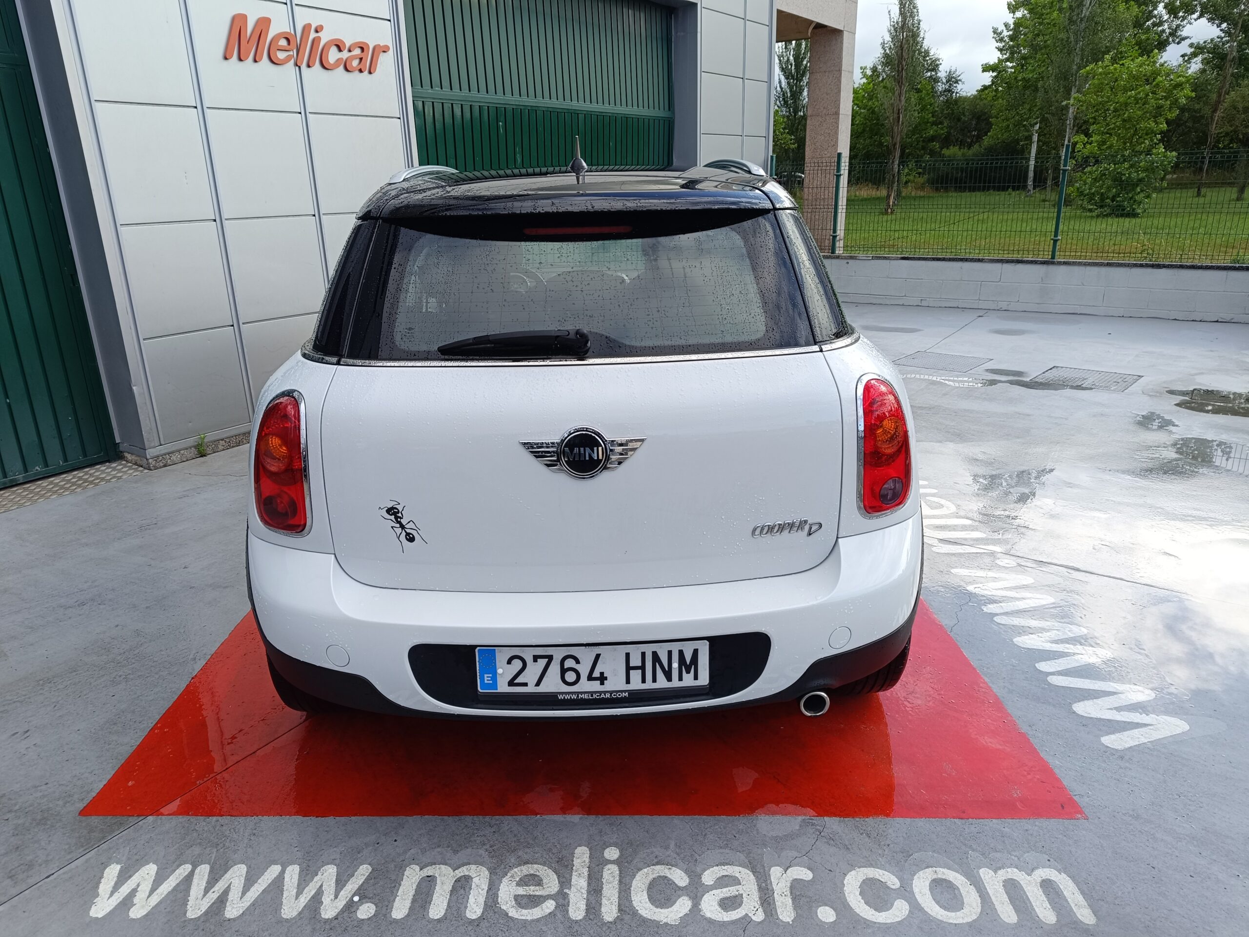 Mini - Countryman