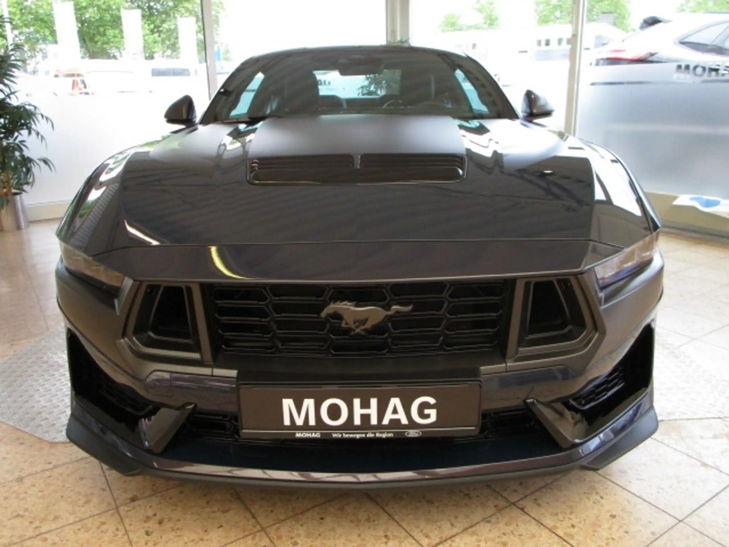 Ford - Mustang