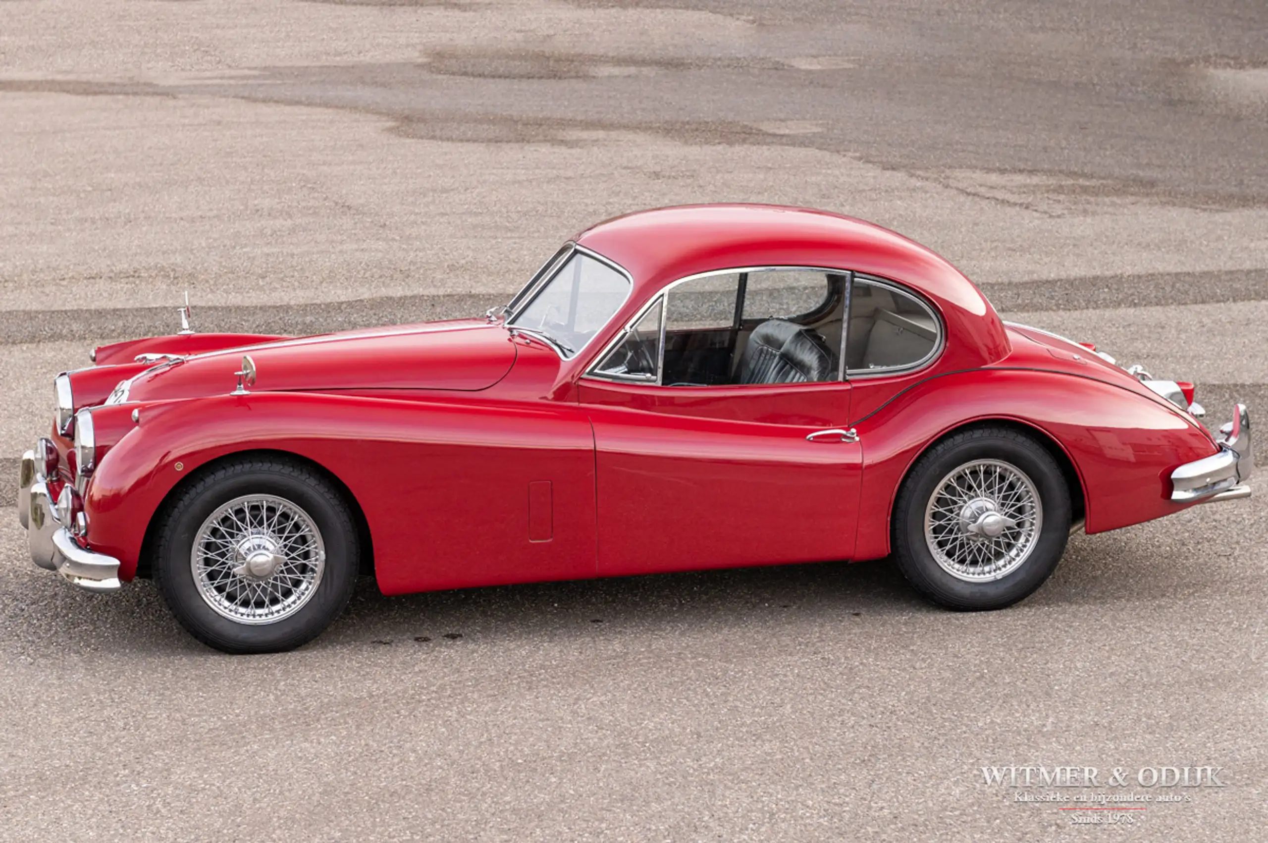 Jaguar XK 1955