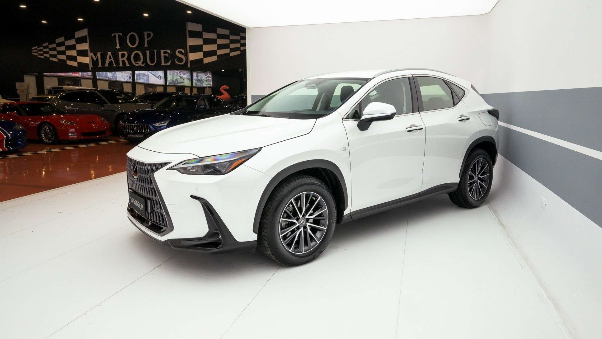 Lexus NX 350h 2022