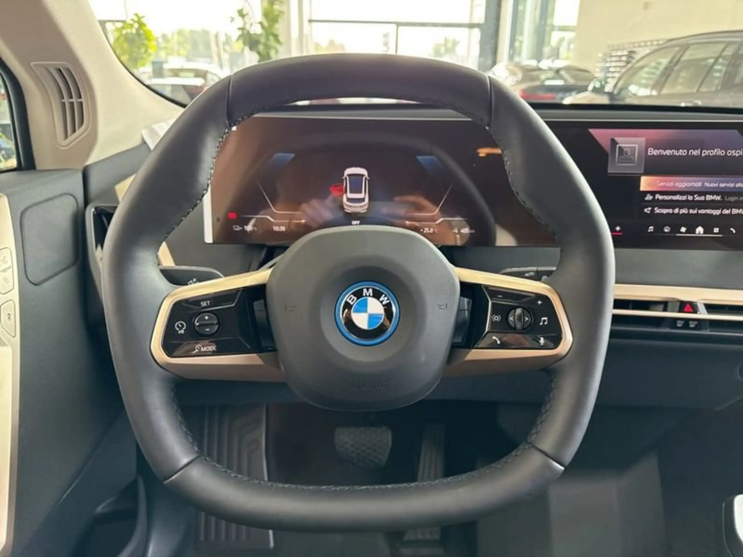 BMW - iX