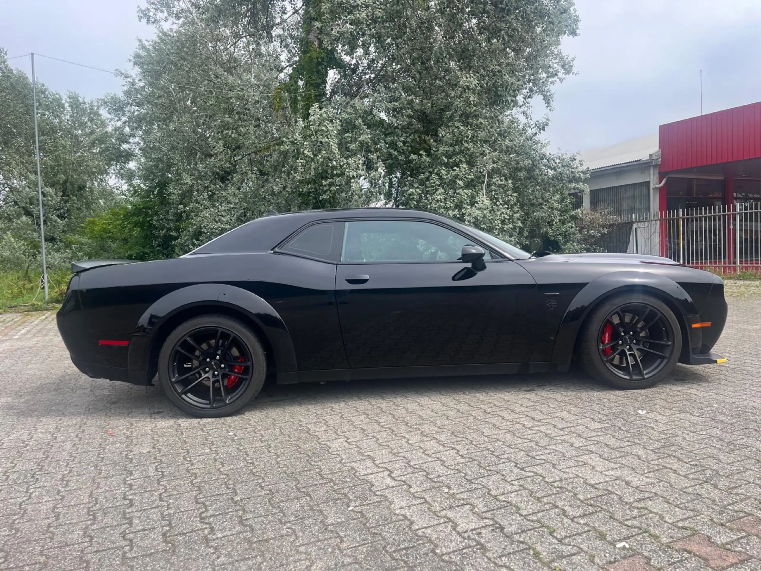 Dodge - Challenger