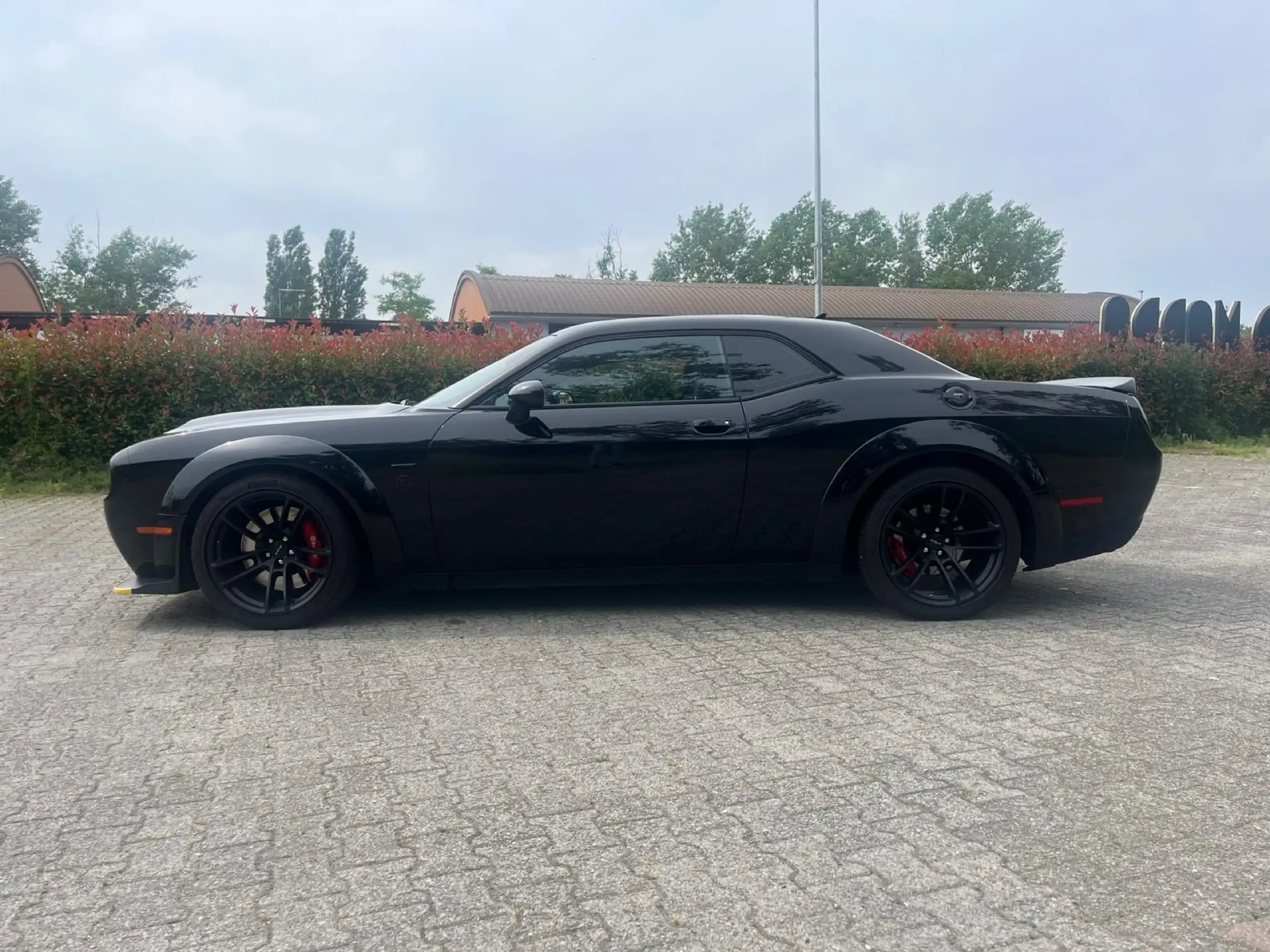 Dodge - Challenger