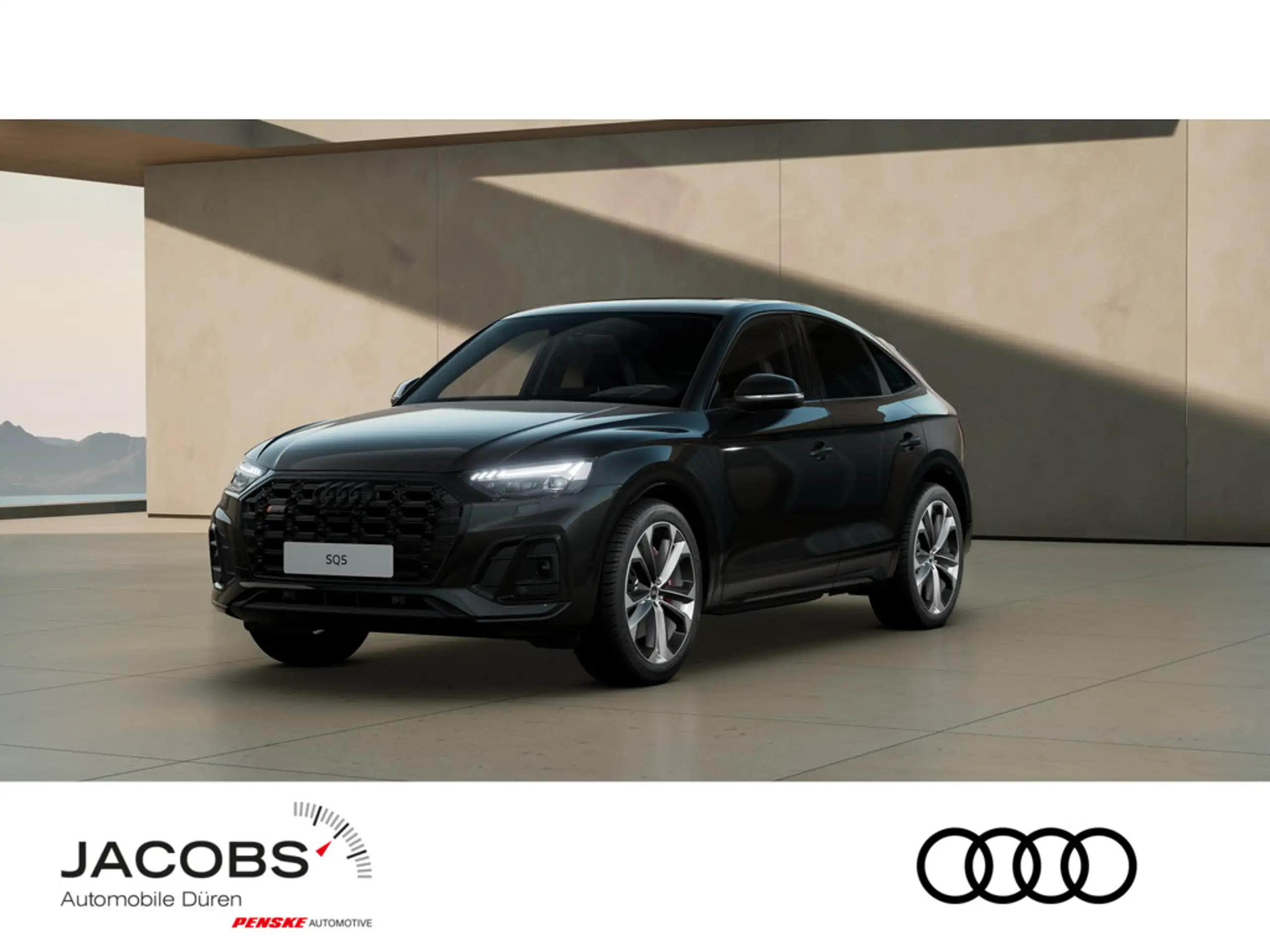 Audi SQ5 2013