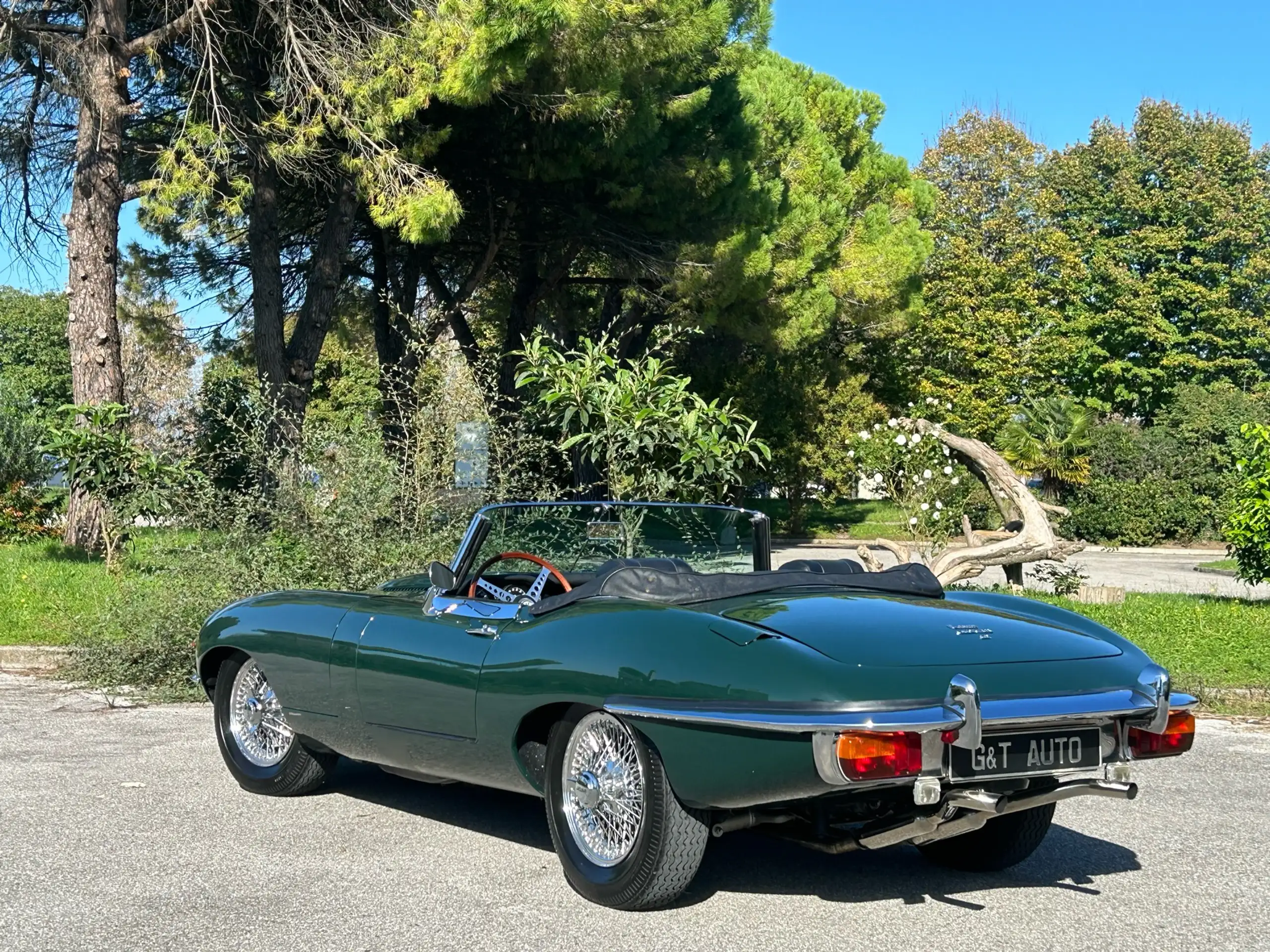 Jaguar - E-Type