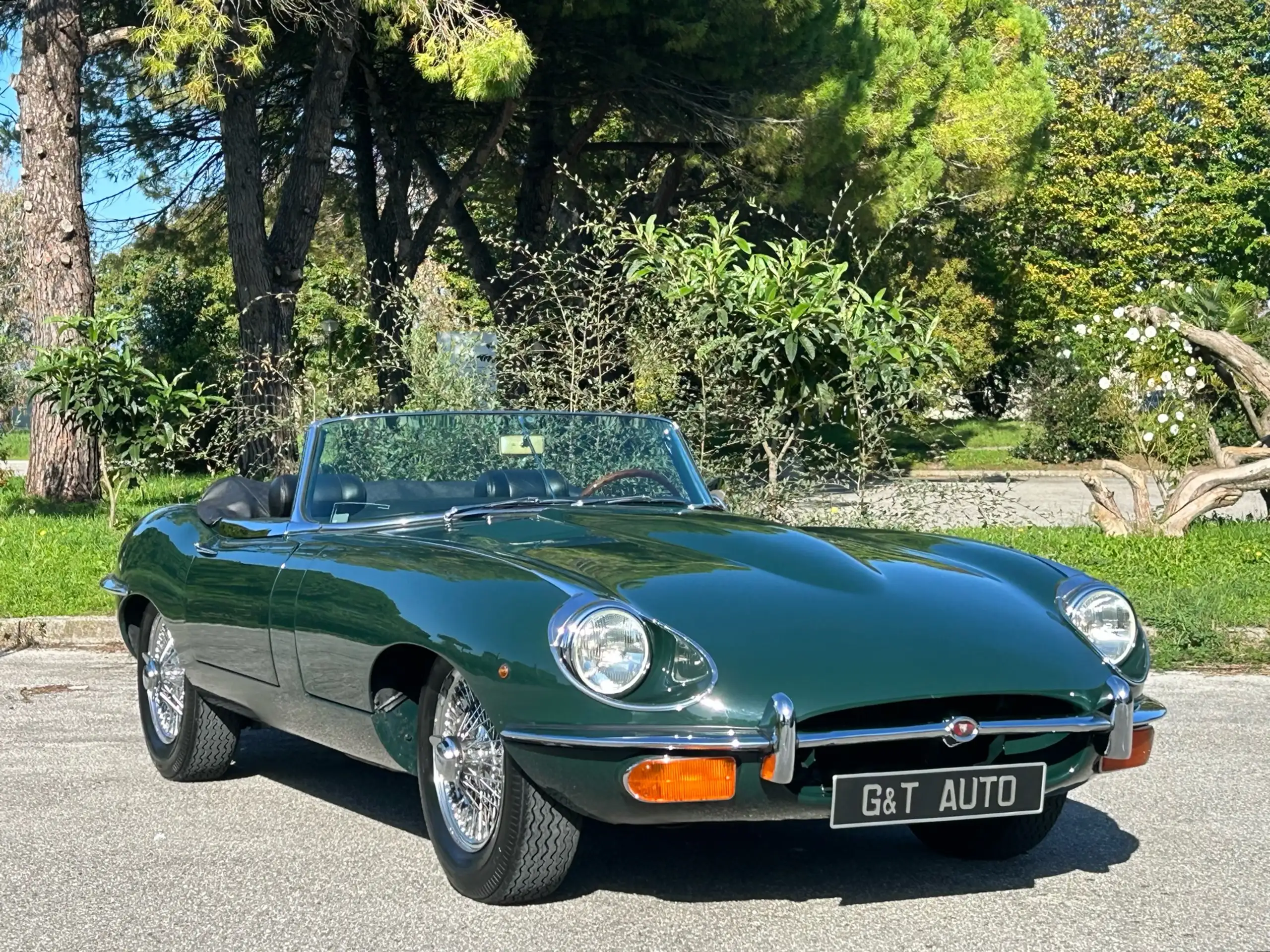 Jaguar - E-Type