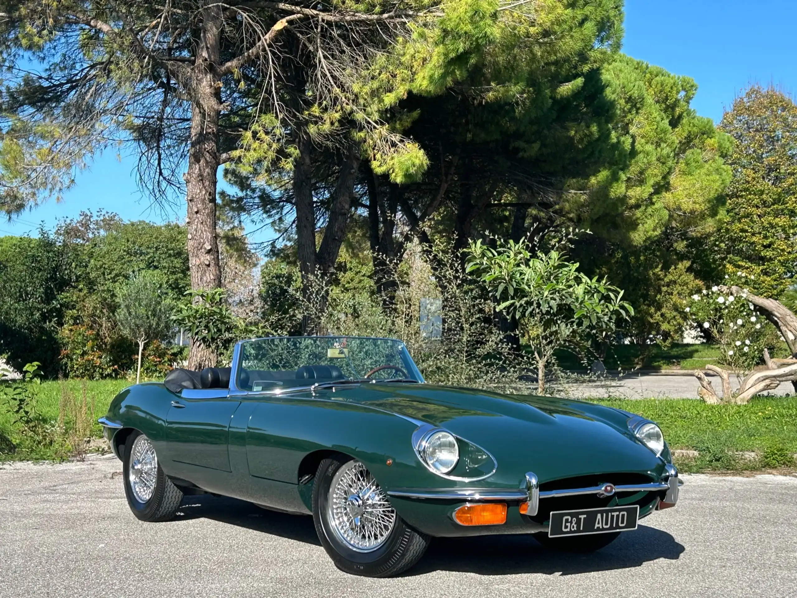 Jaguar - E-Type