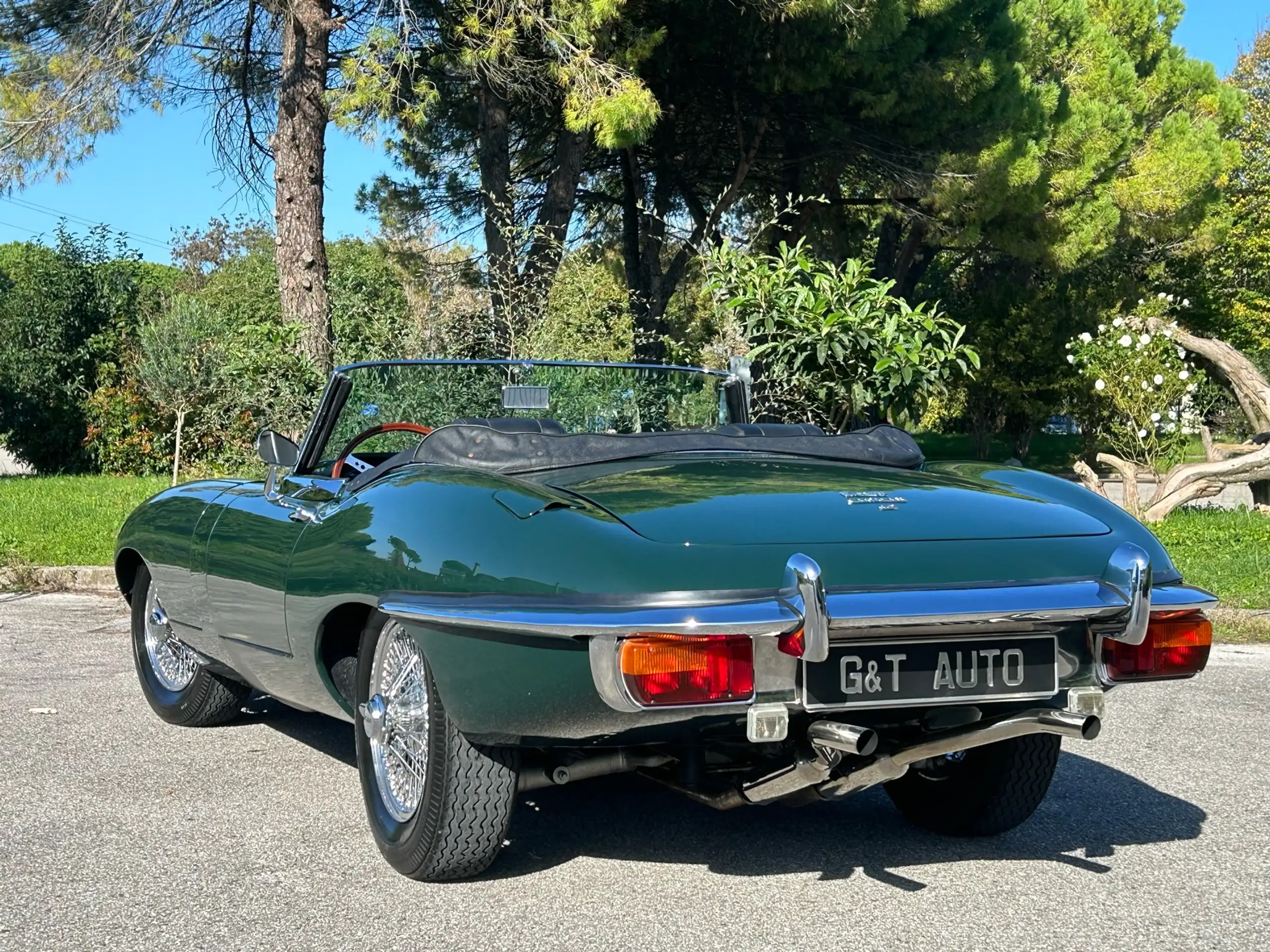 Jaguar - E-Type