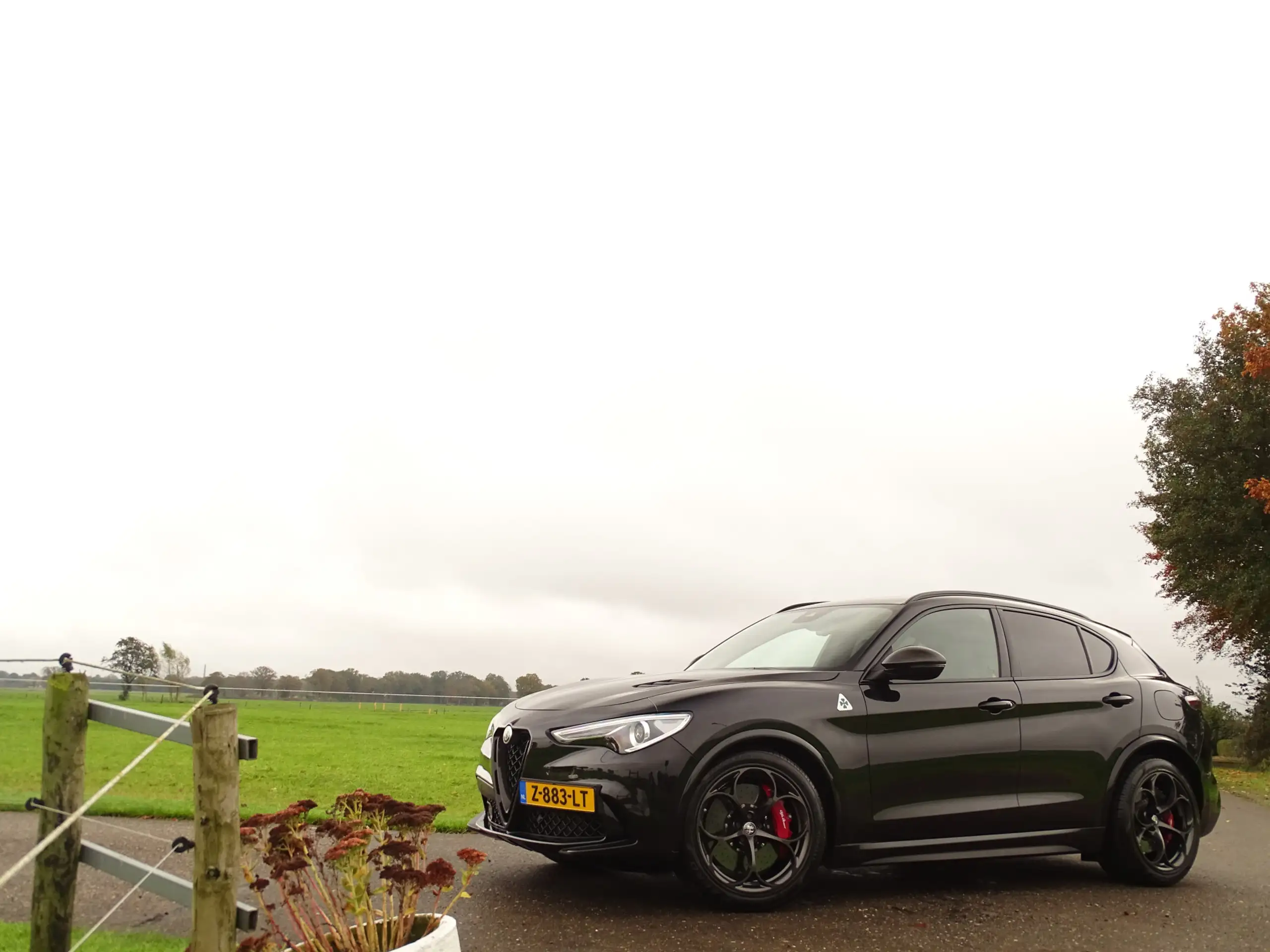 Alfa Romeo - Stelvio