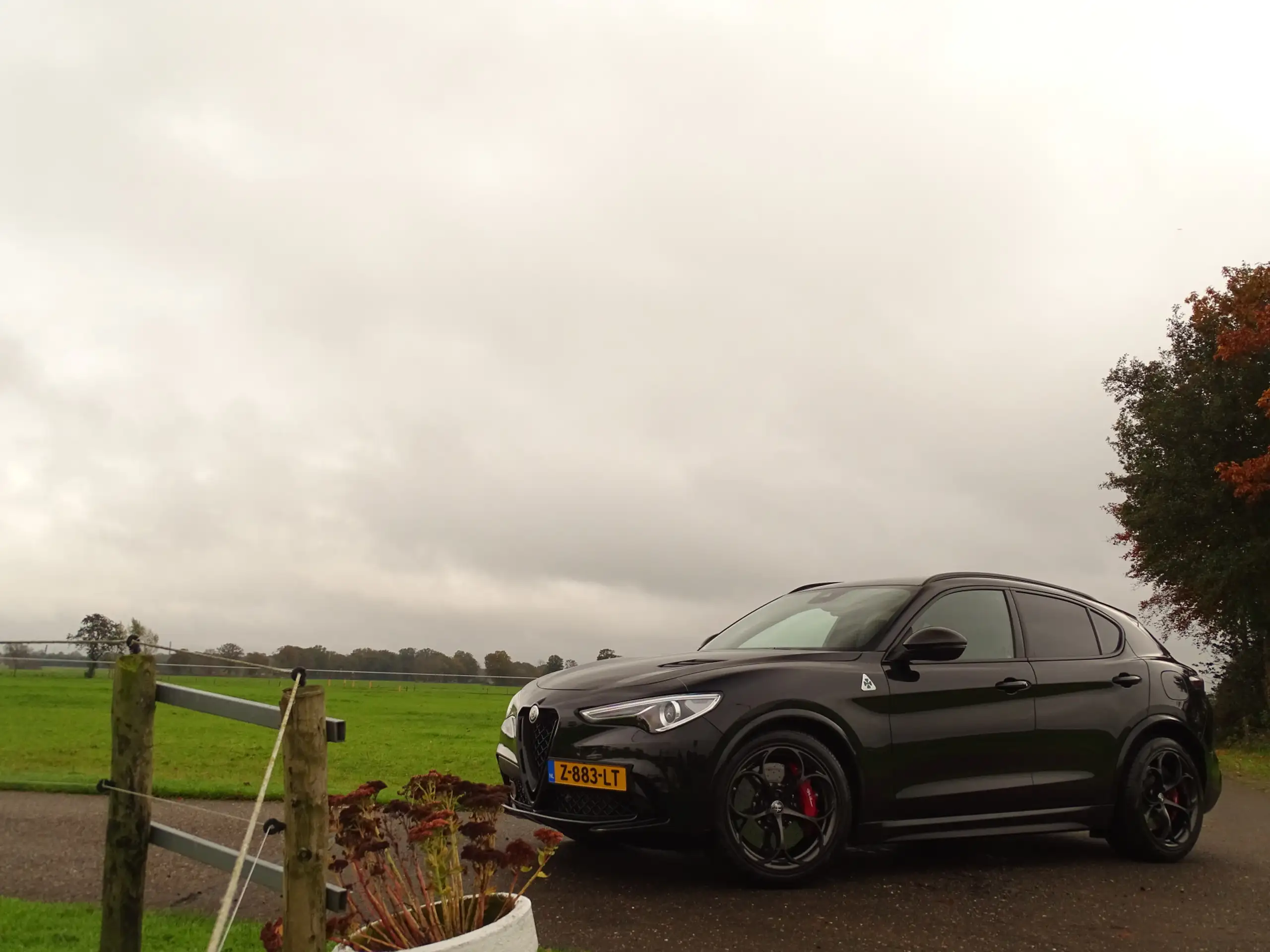 Alfa Romeo - Stelvio