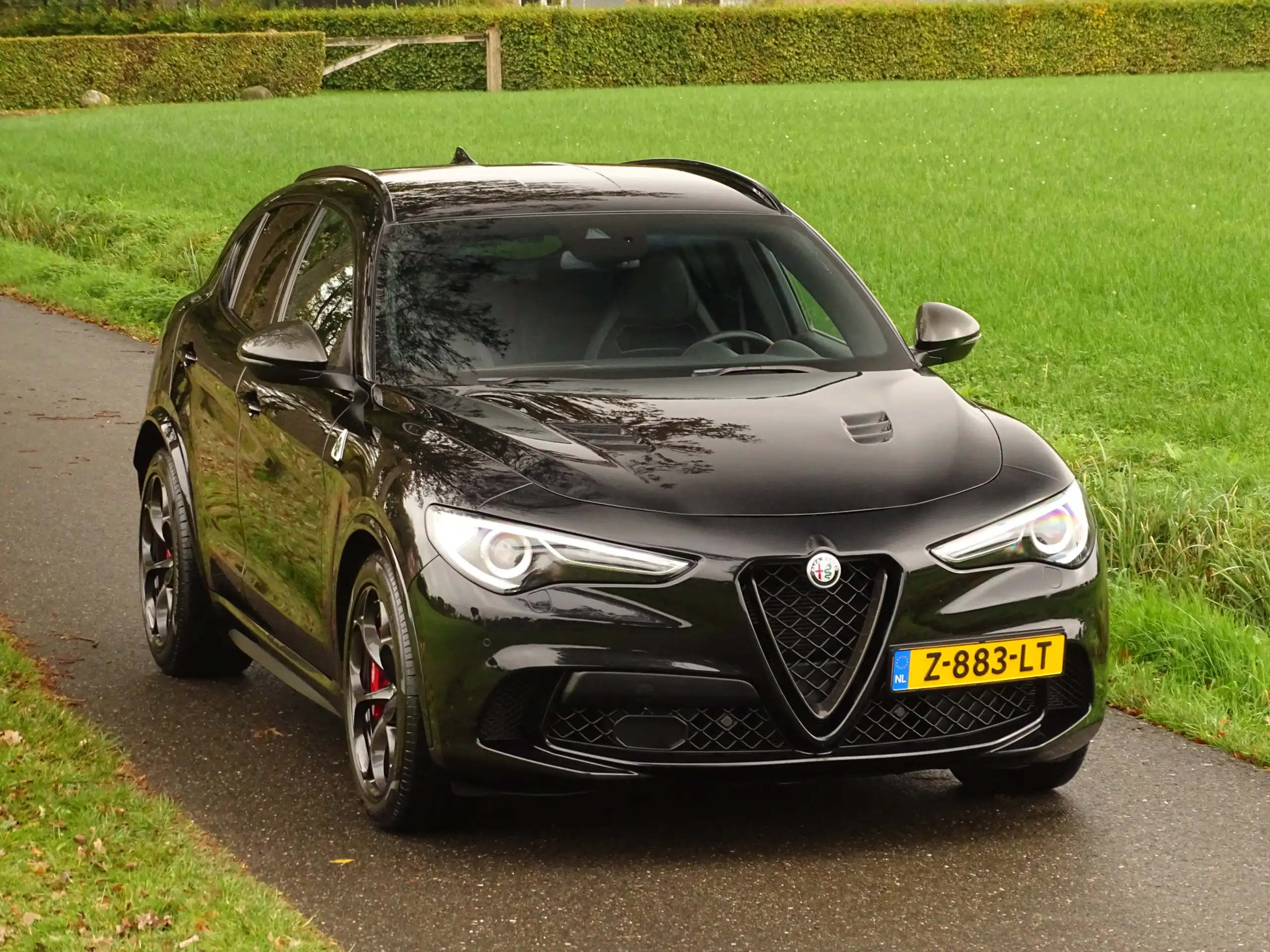 Alfa Romeo - Stelvio