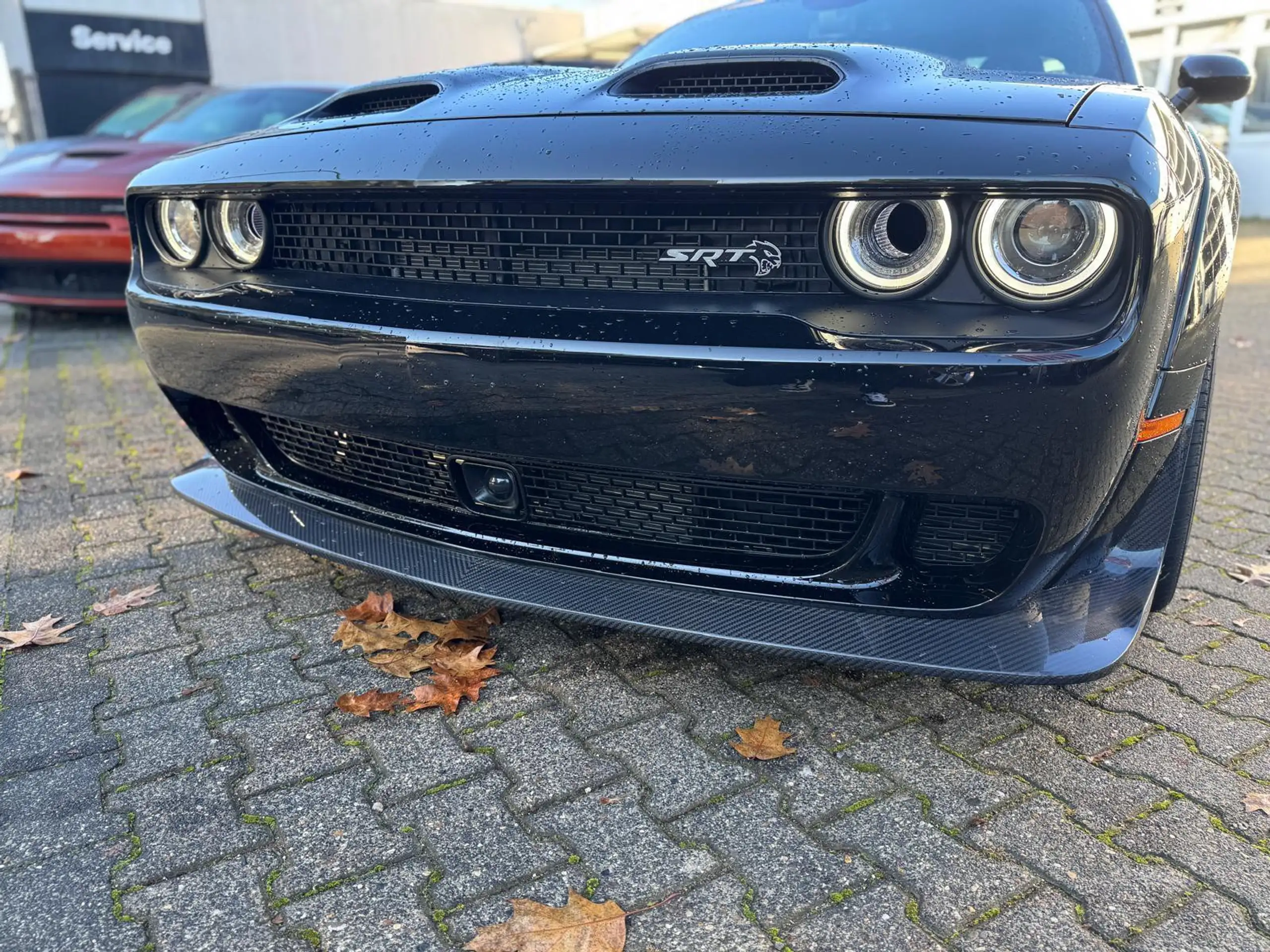 Dodge - Challenger