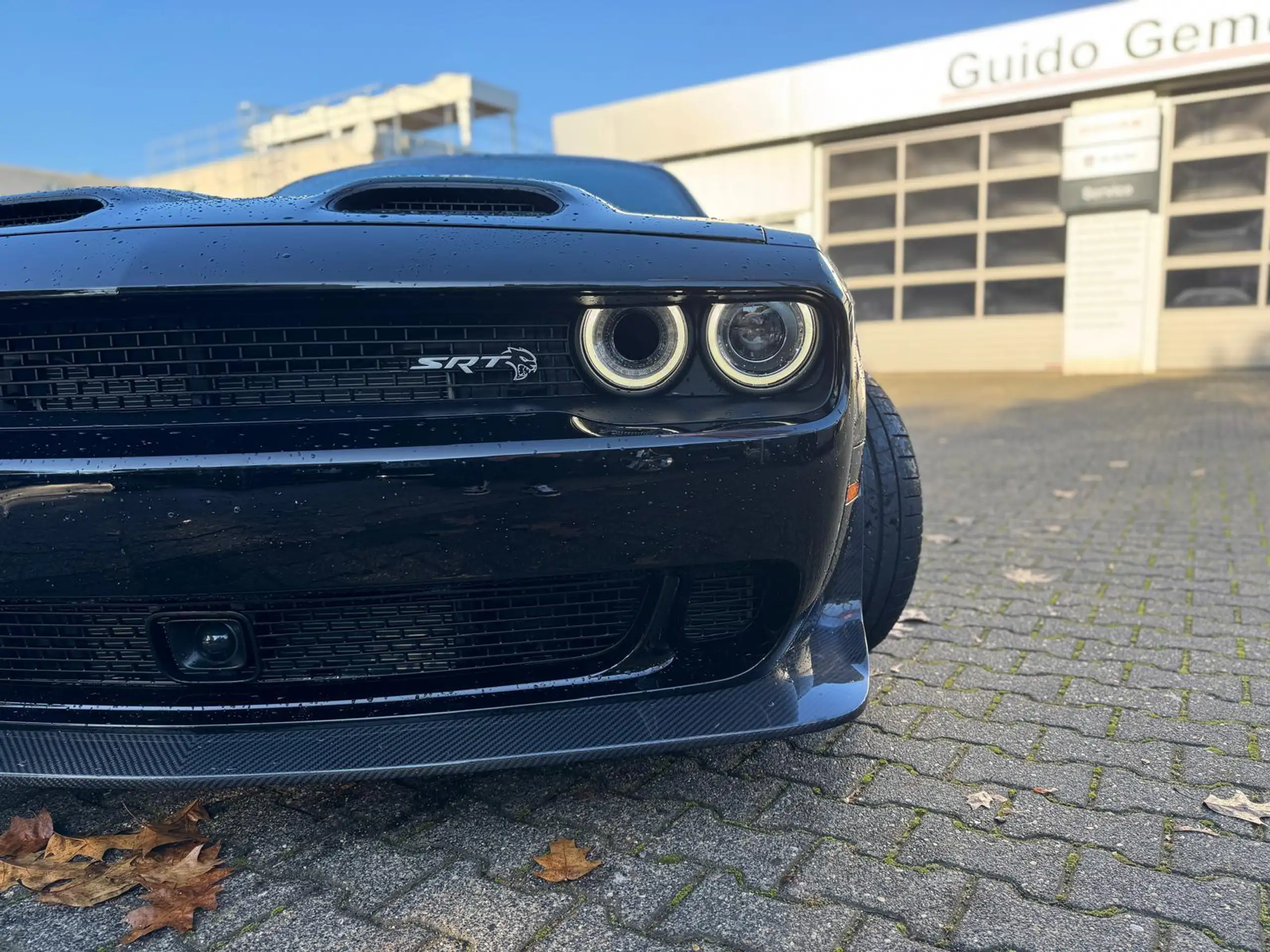 Dodge - Challenger