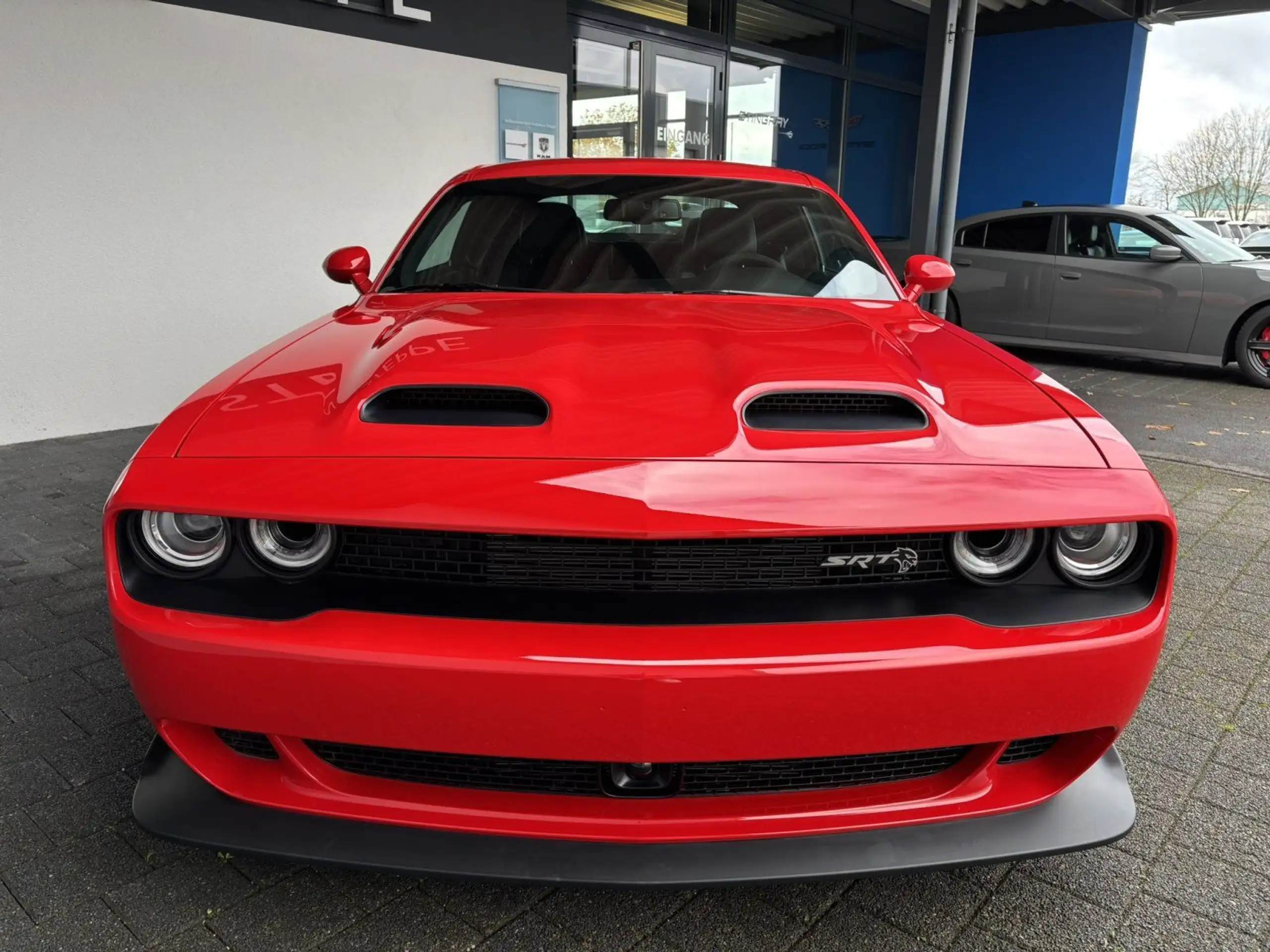 Dodge - Challenger