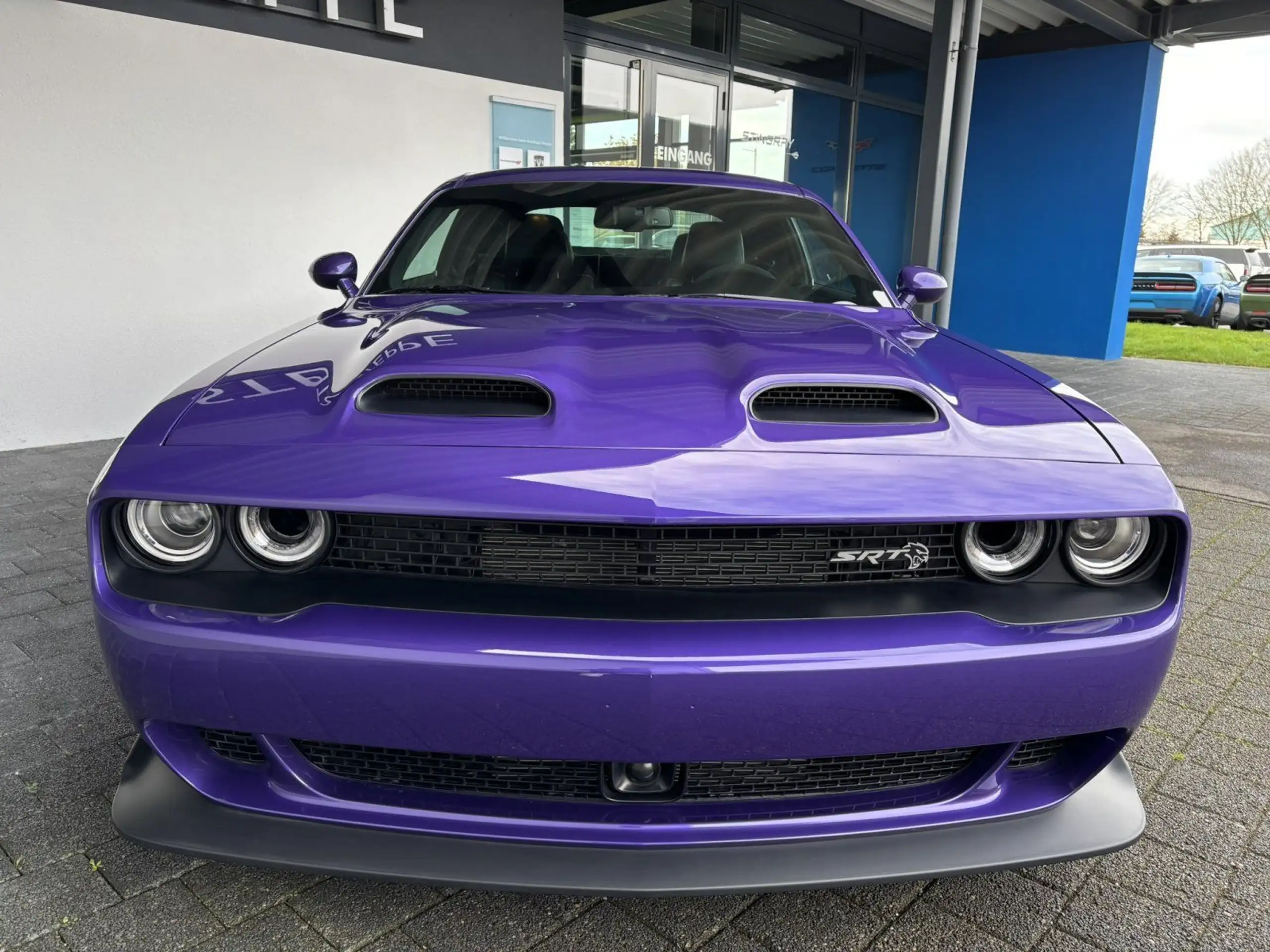 Dodge - Challenger