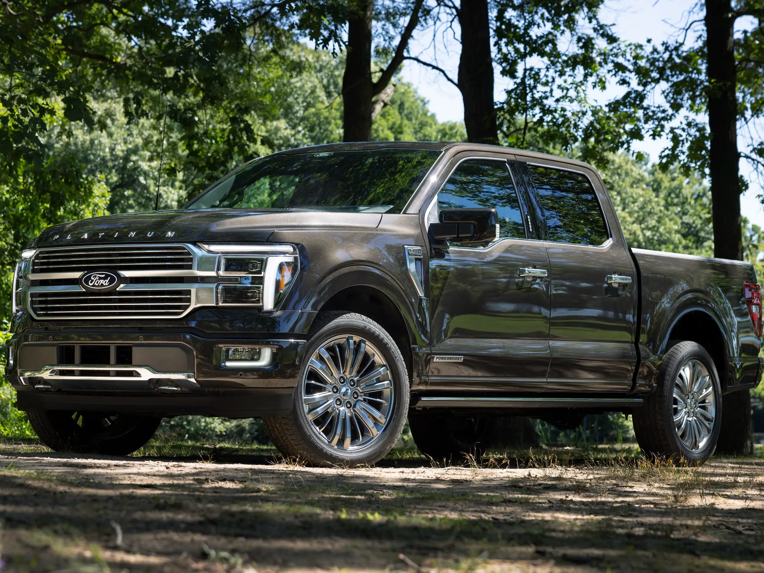 Ford - F 150