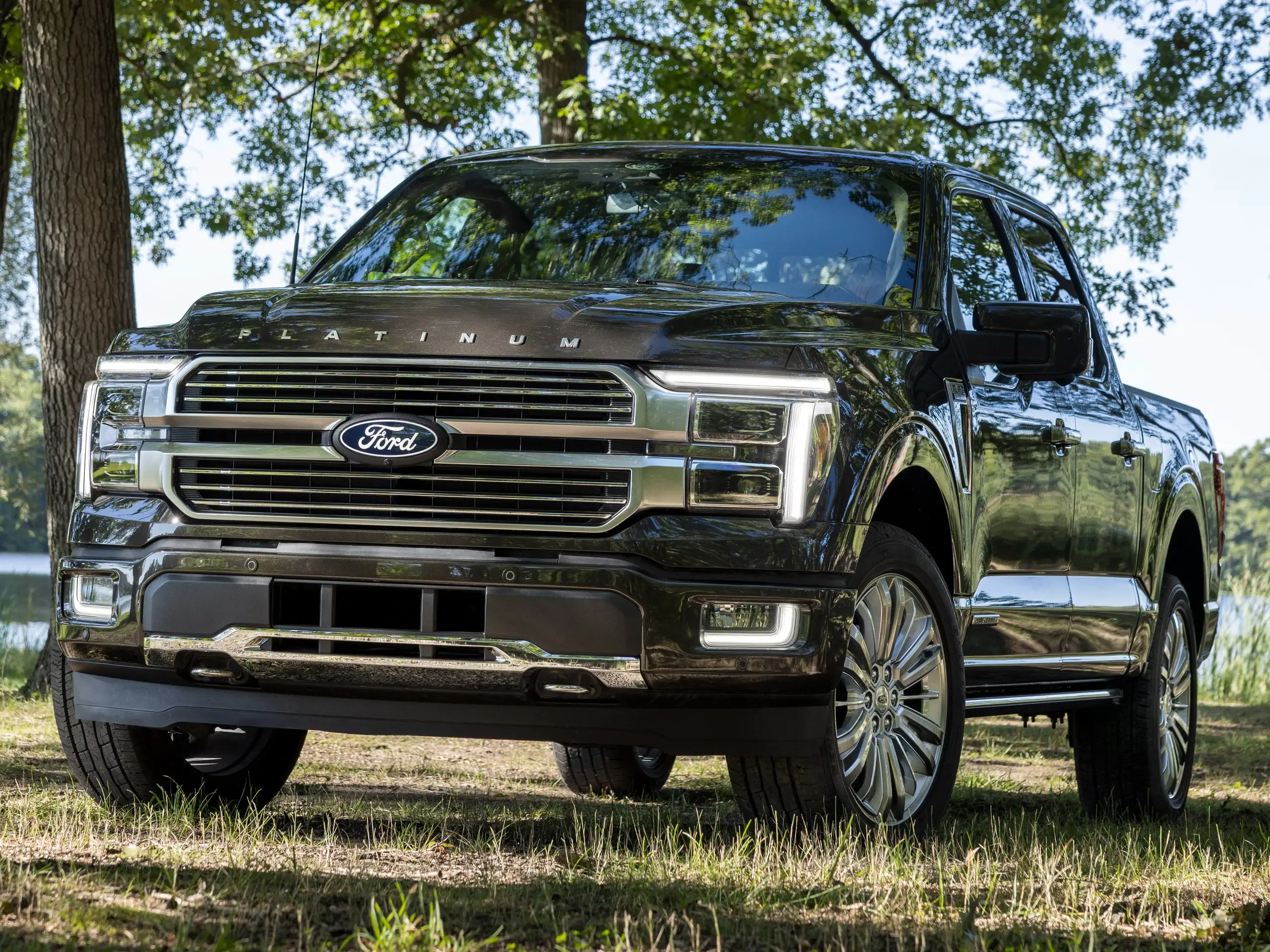 Ford - F 150