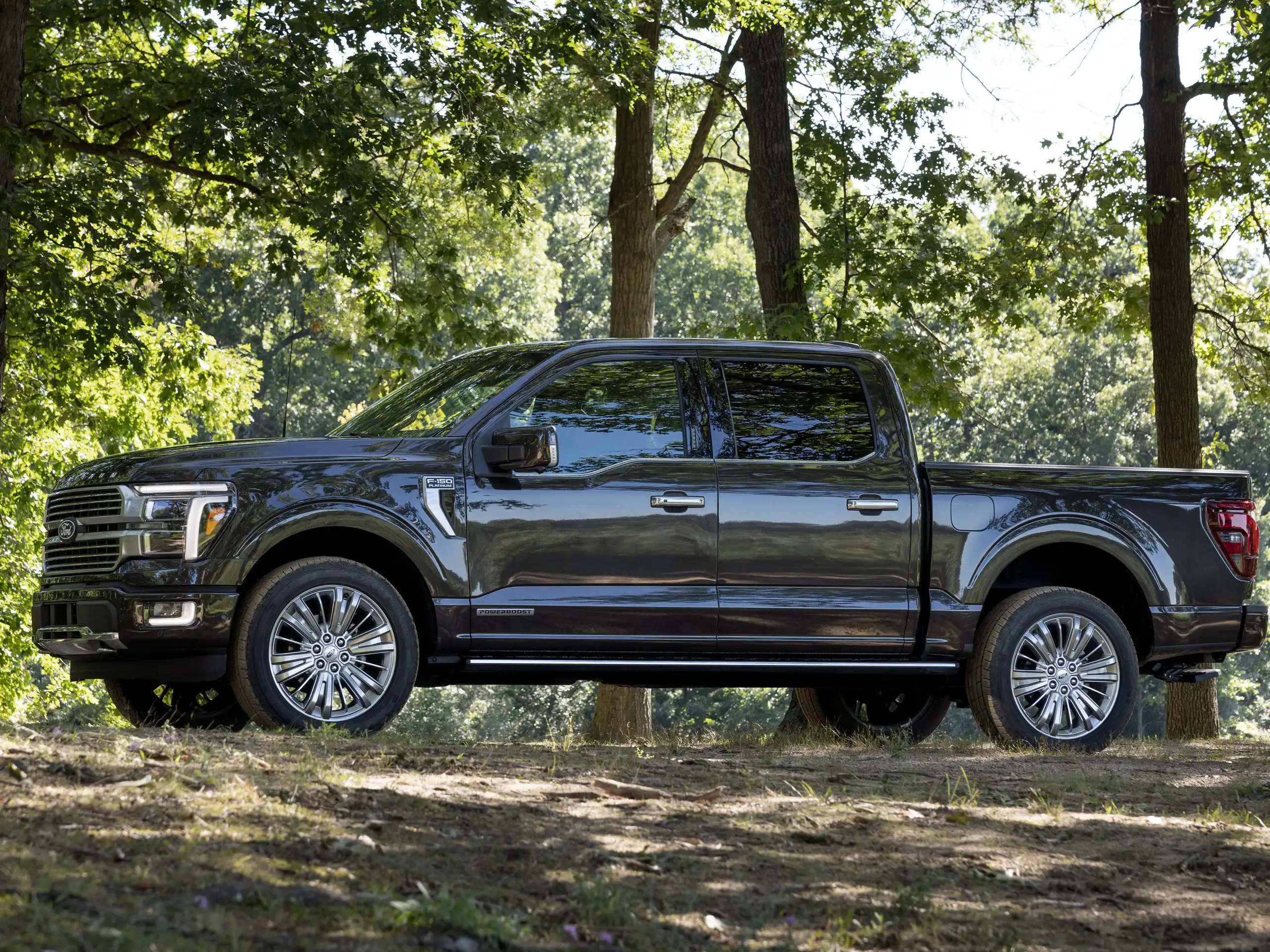 Ford - F 150