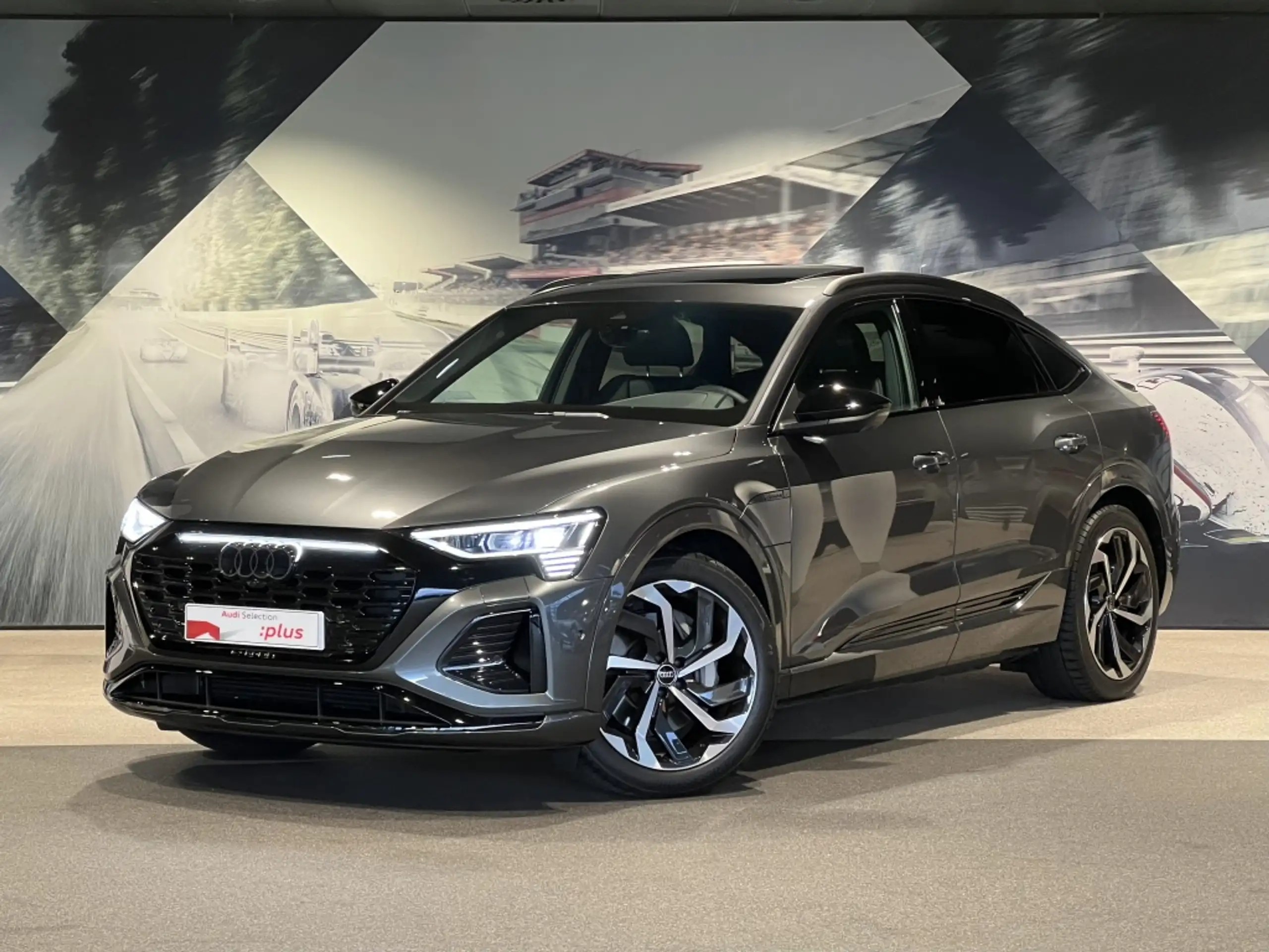 Audi Q8 e-tron 2024