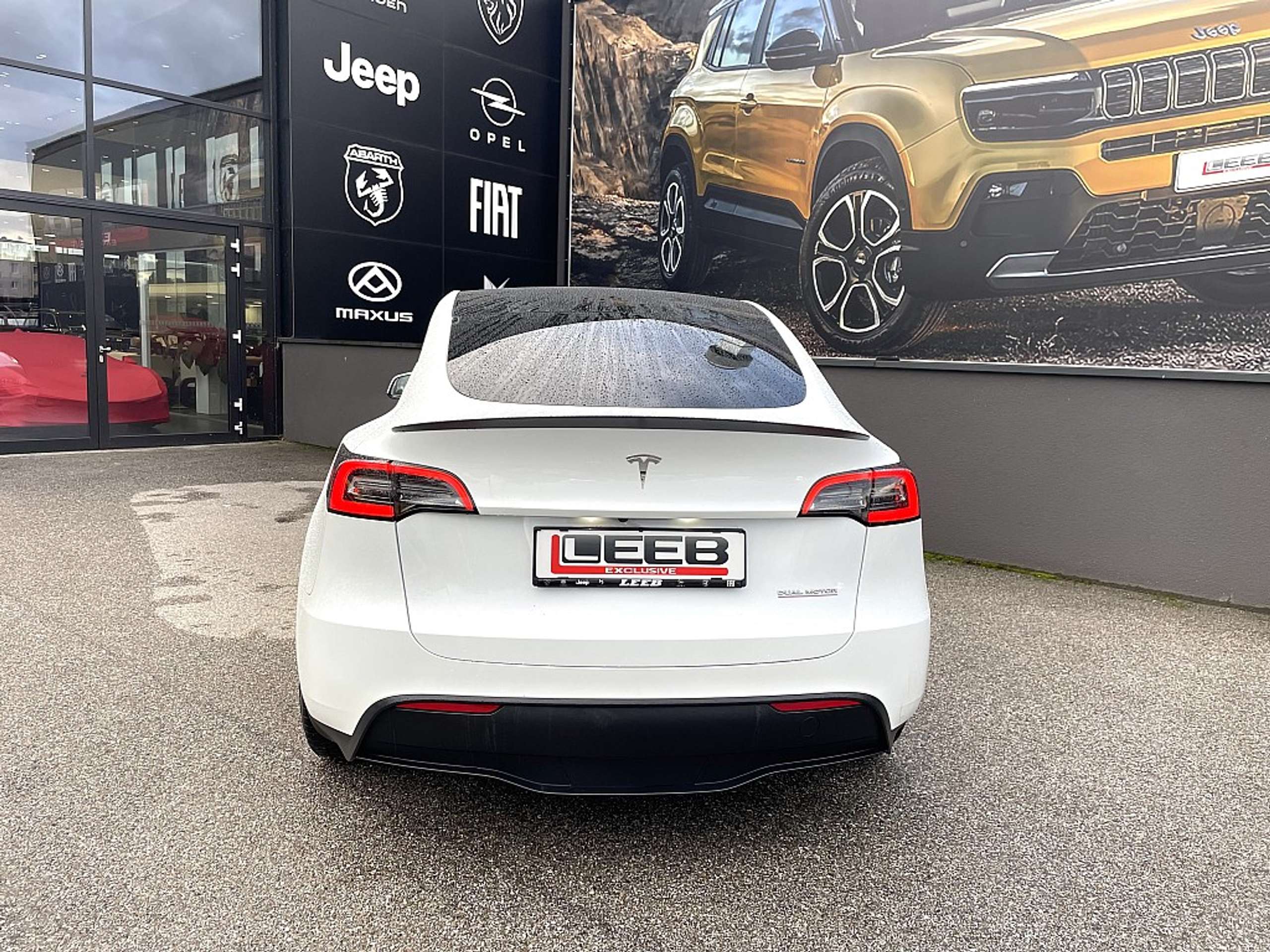 Tesla - Model Y