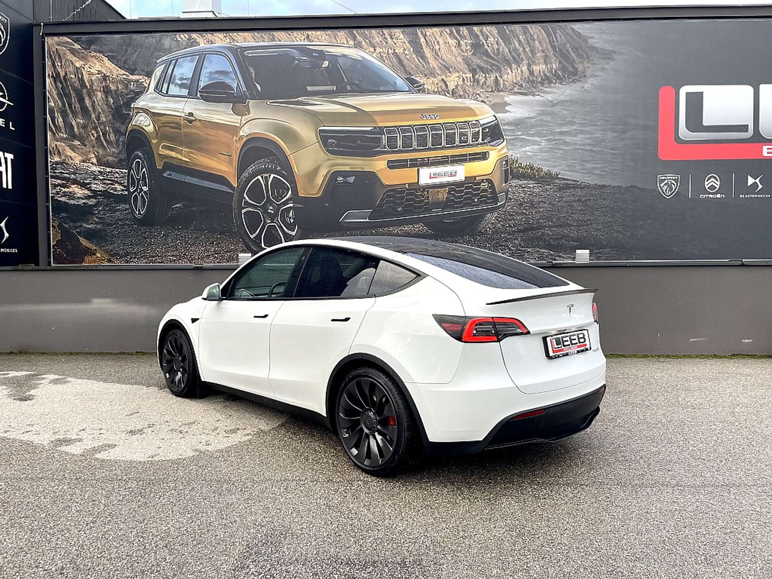 Tesla - Model Y