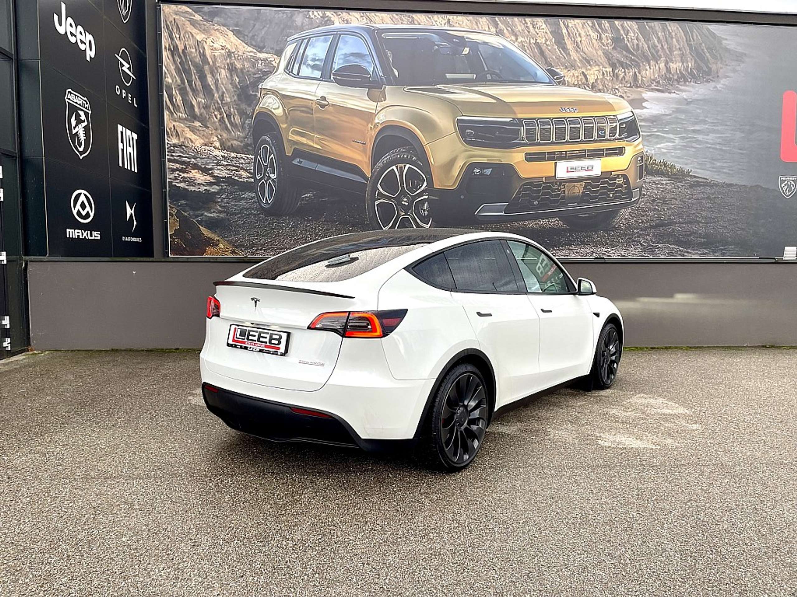 Tesla - Model Y