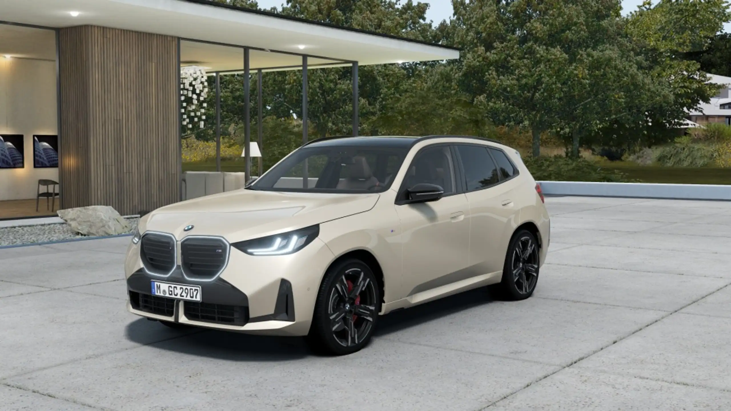 BMW - X3